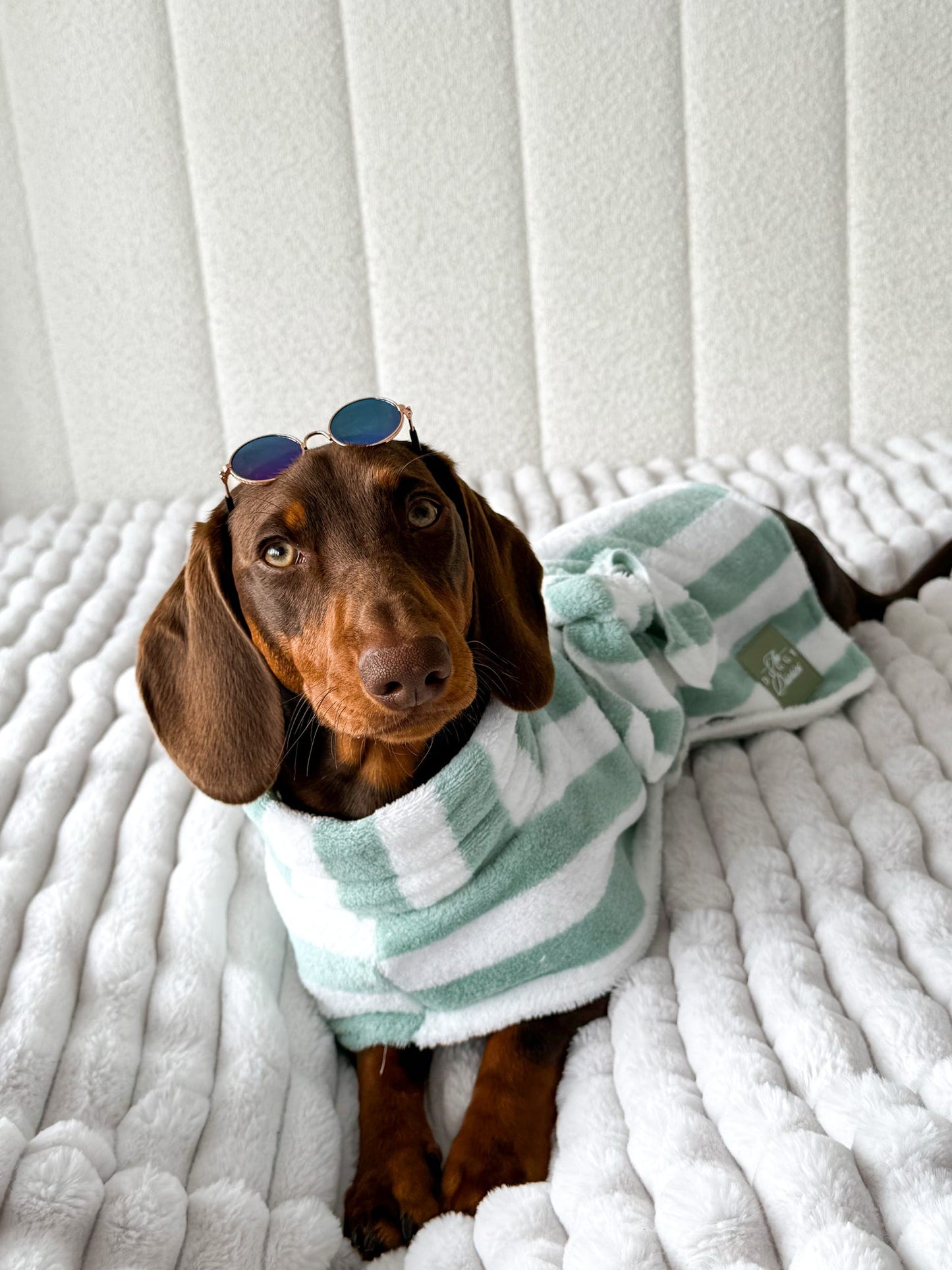 The Beach Club Drying Dog Robe - Sage Stripe