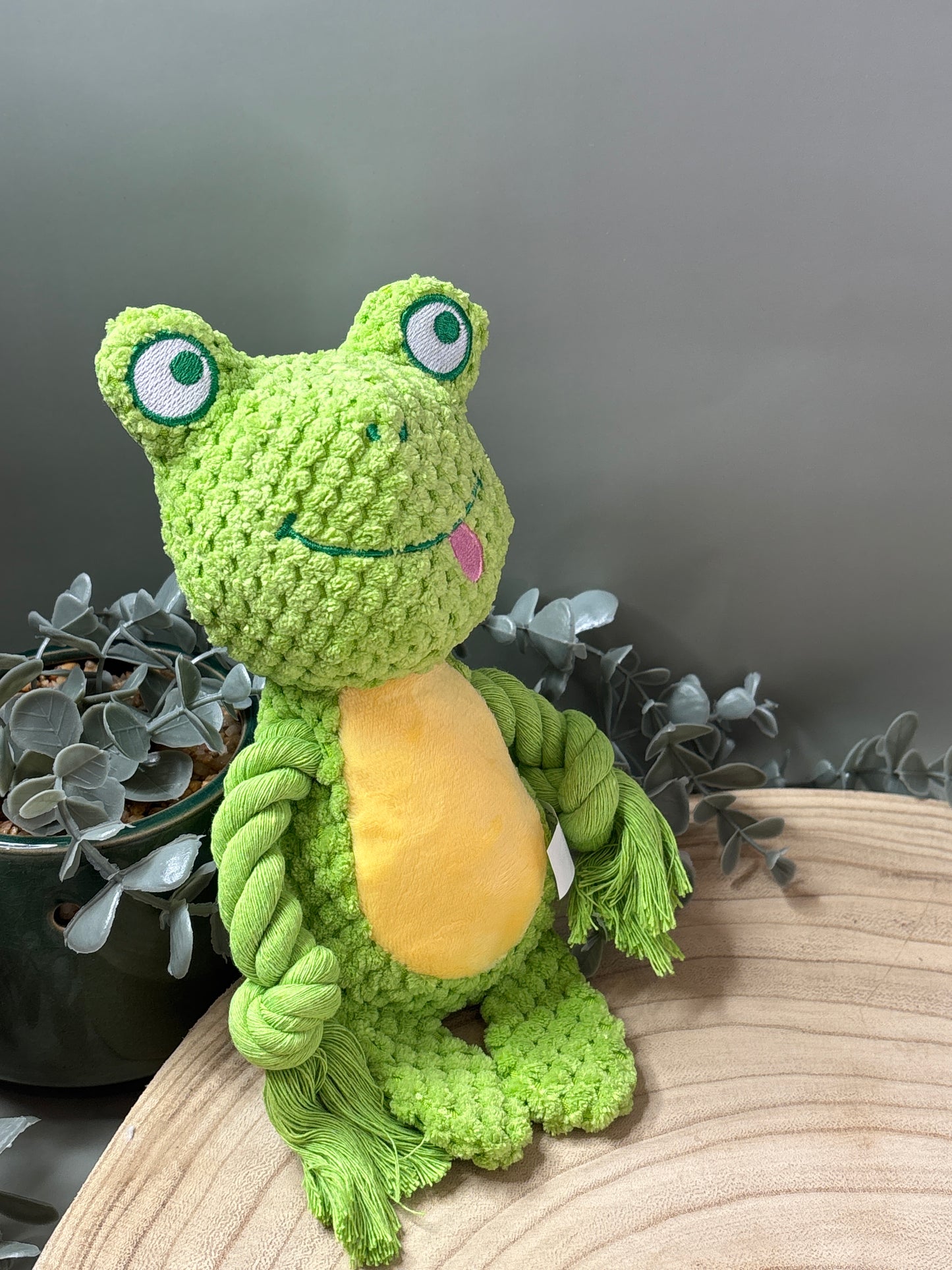 Rope Frog Toy