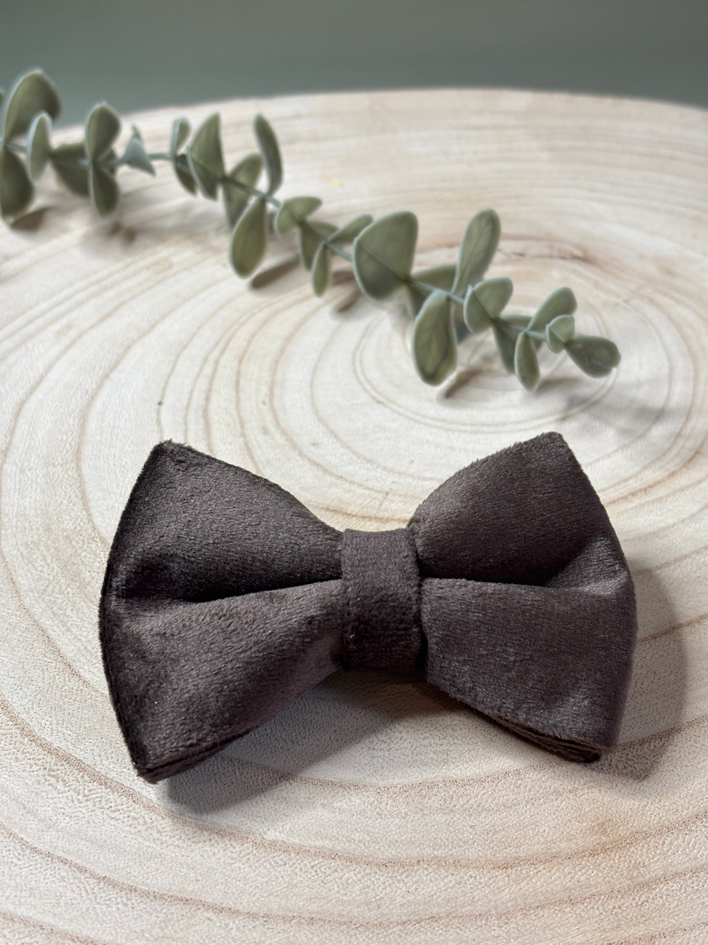 Chocolate Velvet Bow