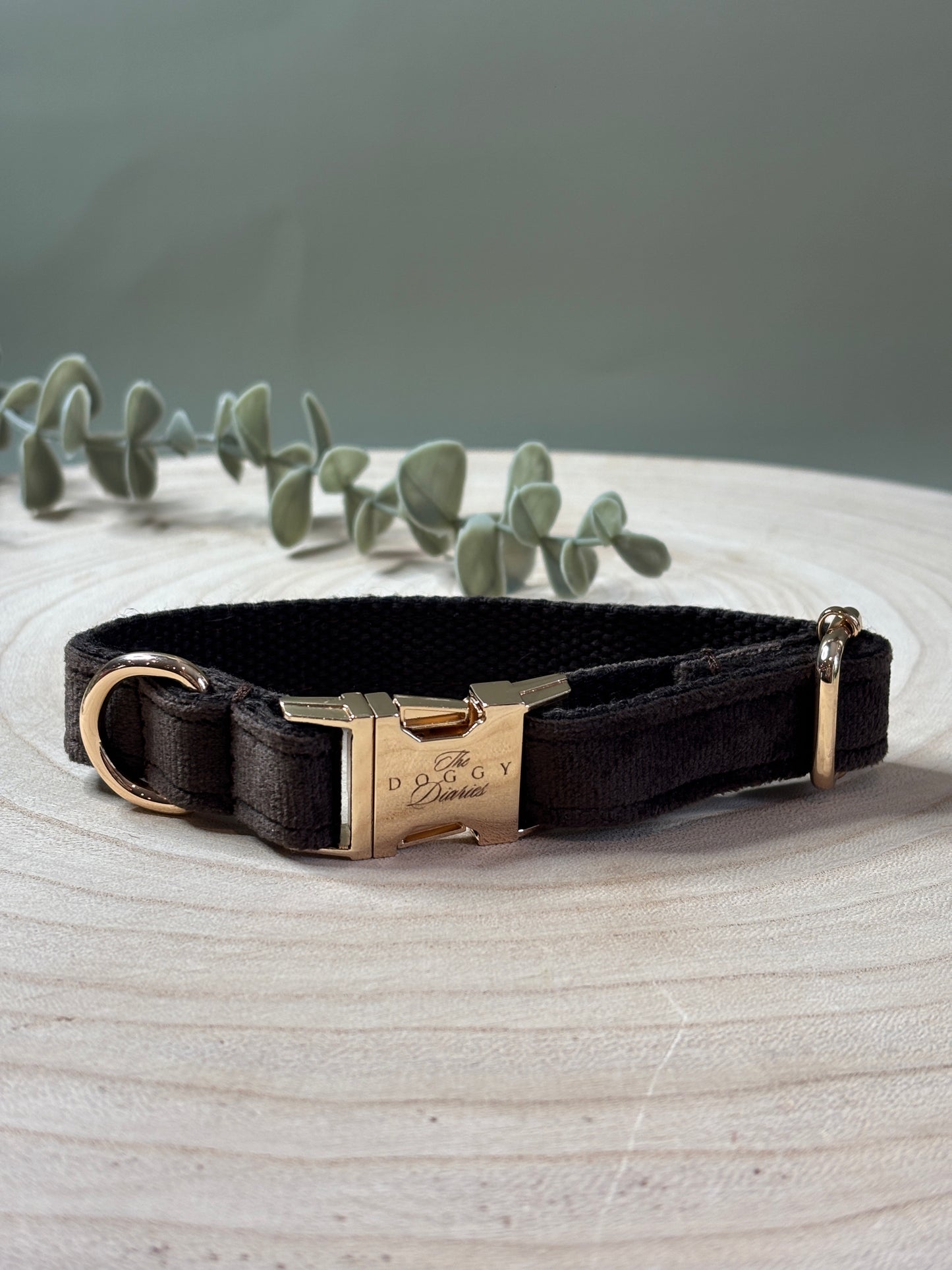 Chocolate Velvet Collar
