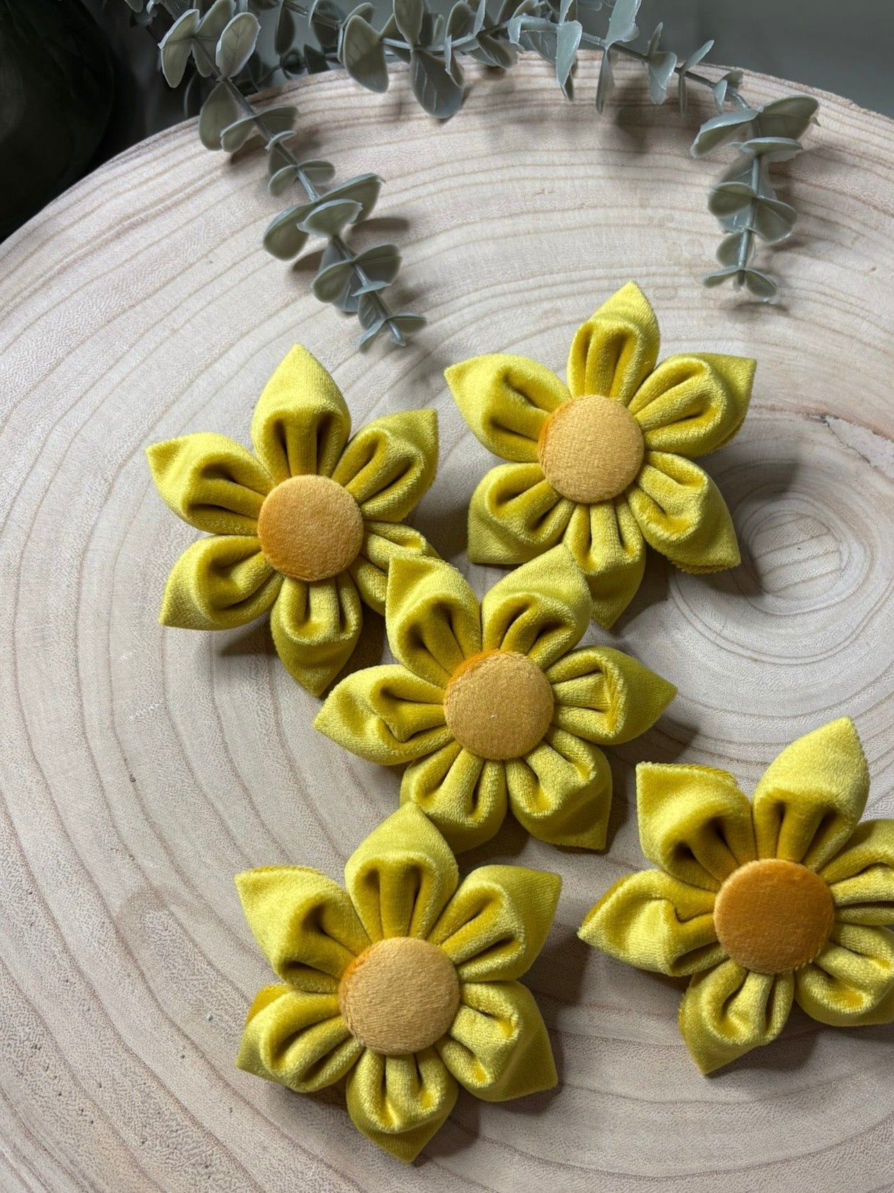 Marie Curie Charity Flower