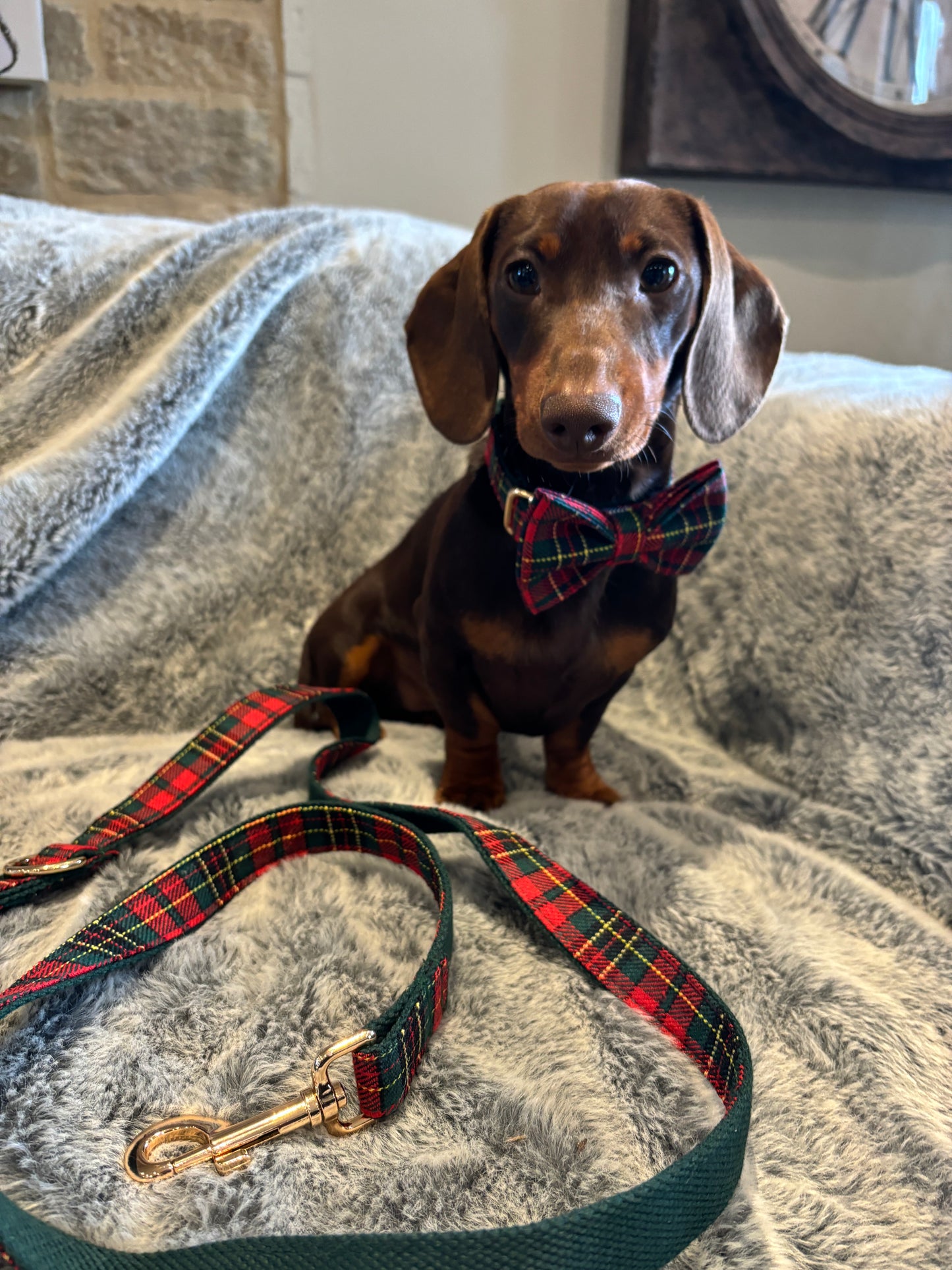 Tartan Bow
