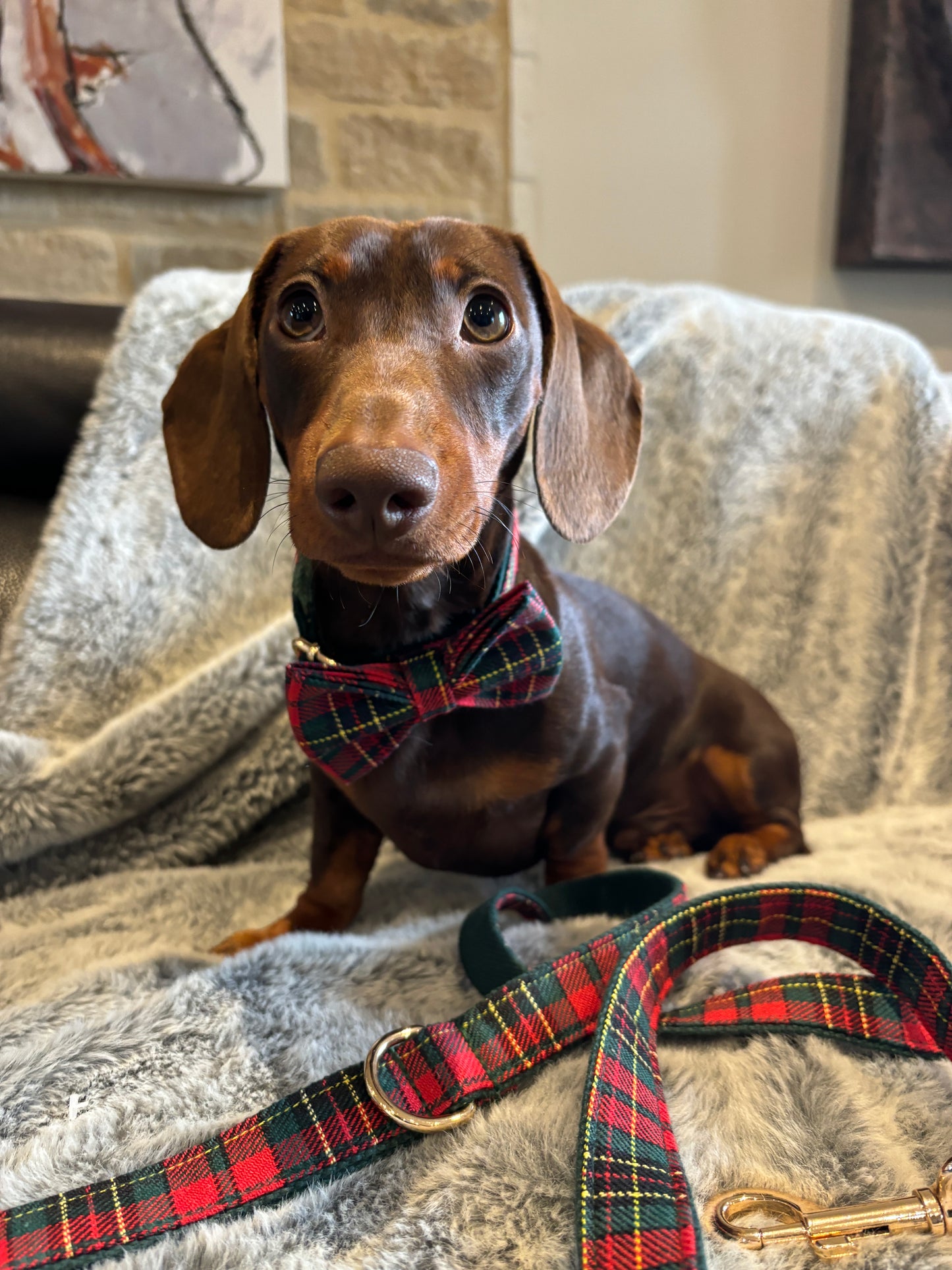 Tartan Bow
