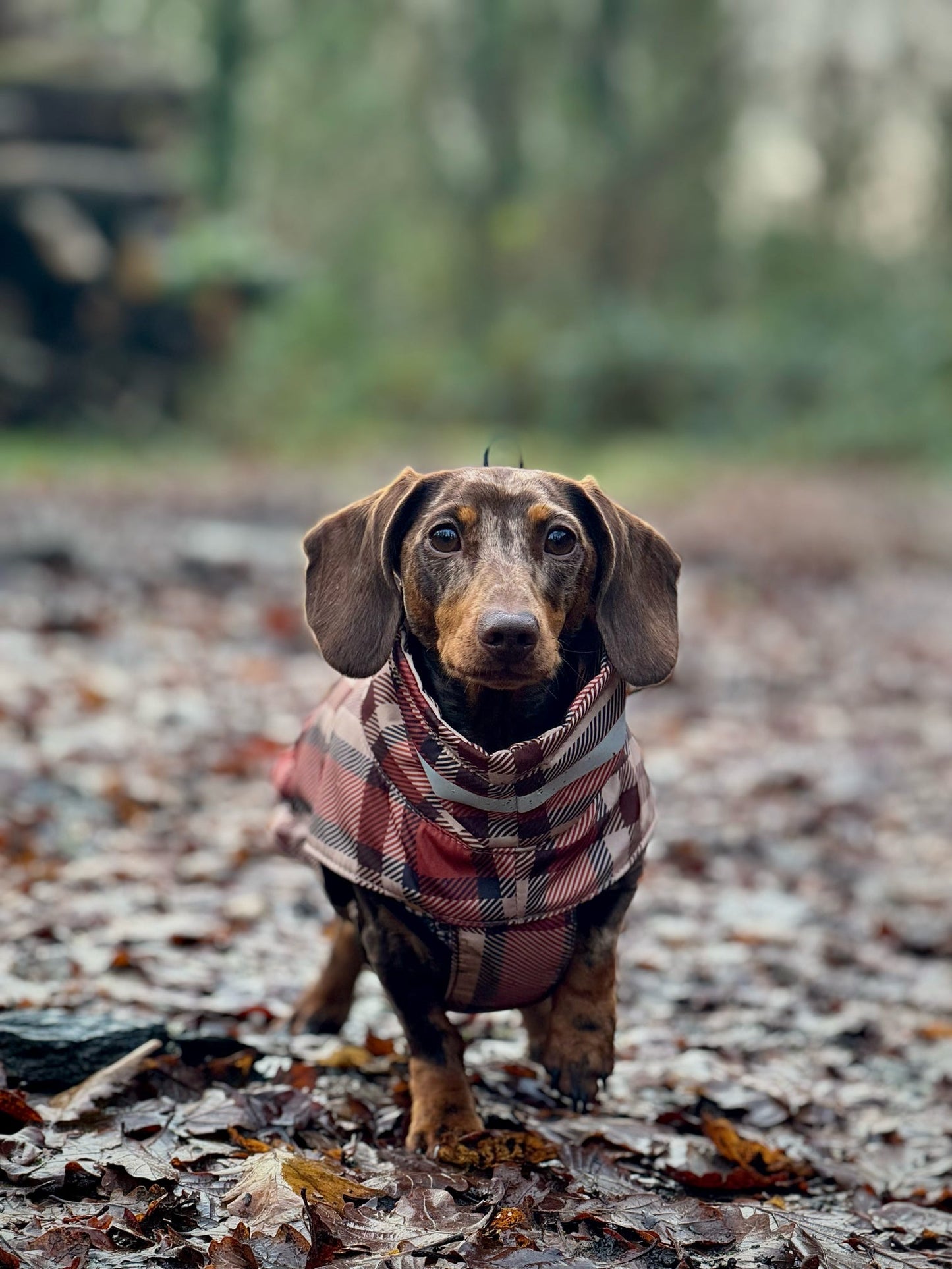 Orange Fleece Lined Check Raincoat