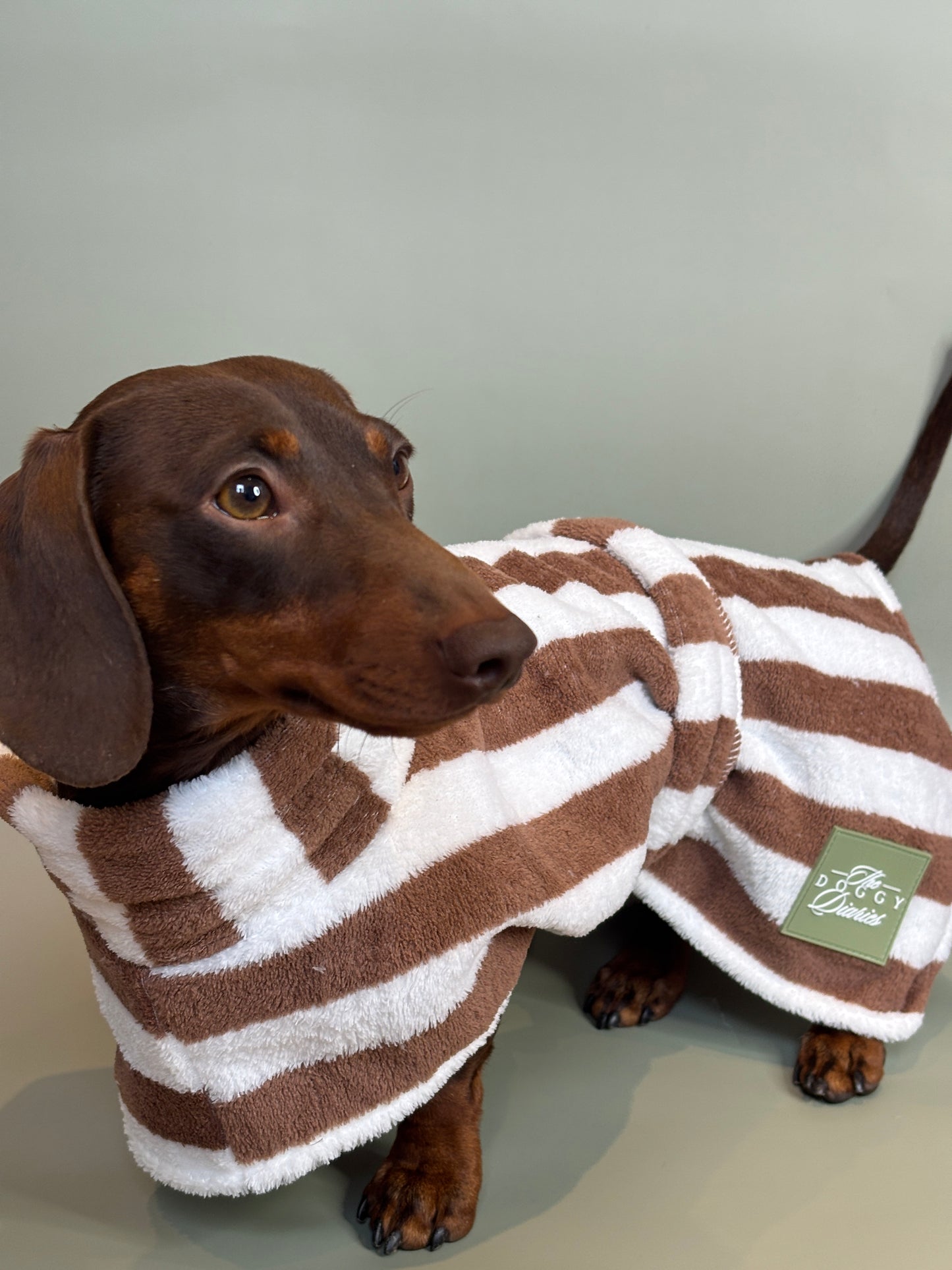 The Beach Club Drying Dog Robe - Chocolate Stripe