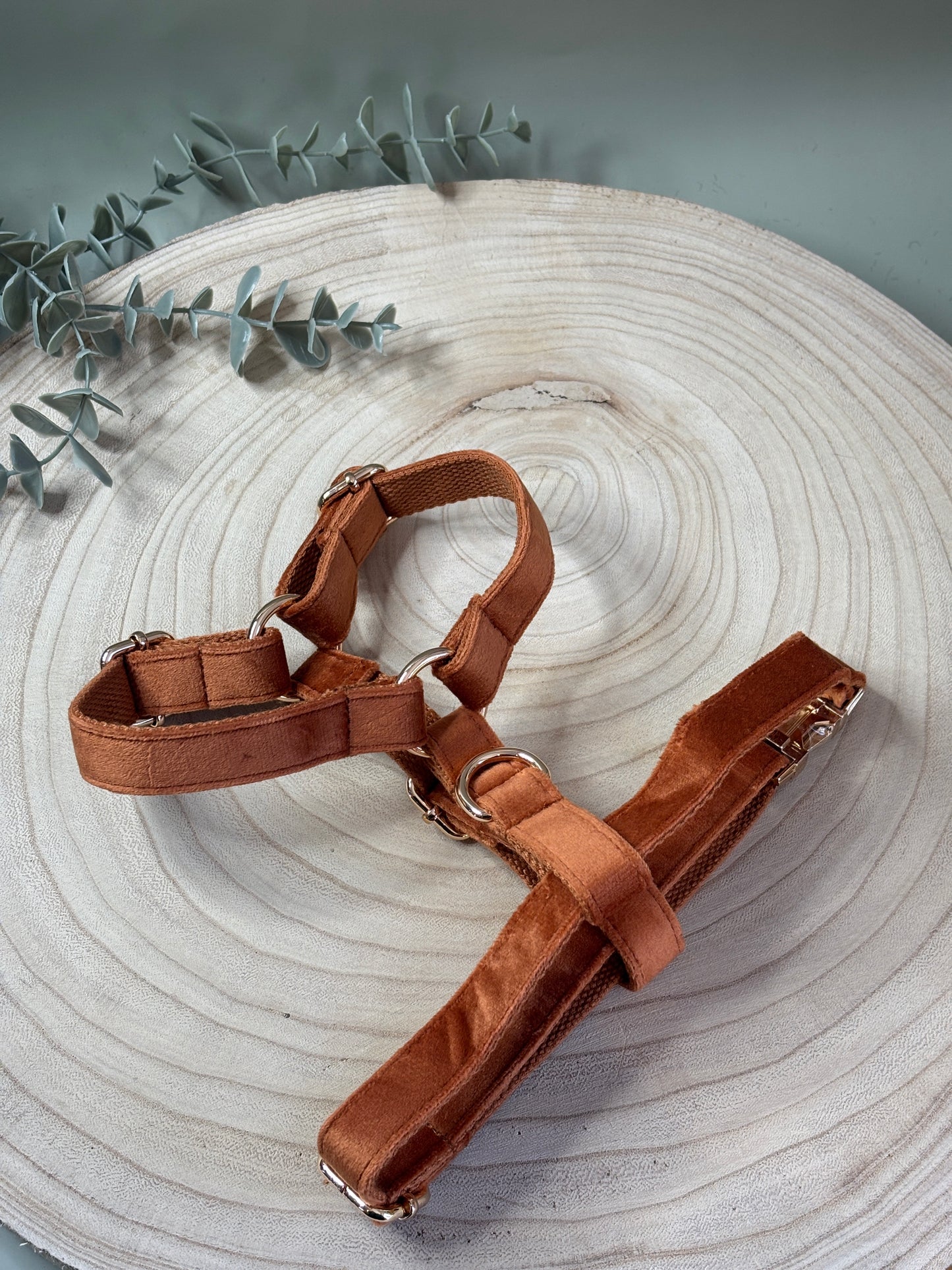 Rust Velvet Fully Adjustable Harness