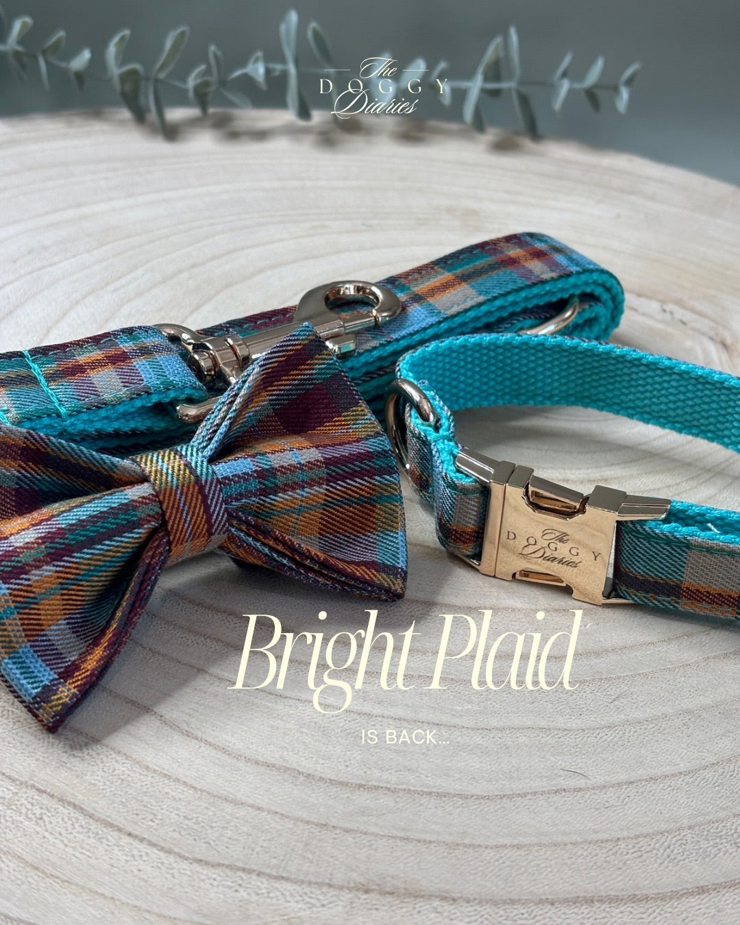 Bright Plaid Collar