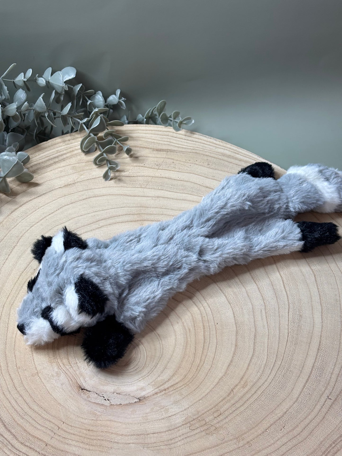 Flat Toys With Squeaker