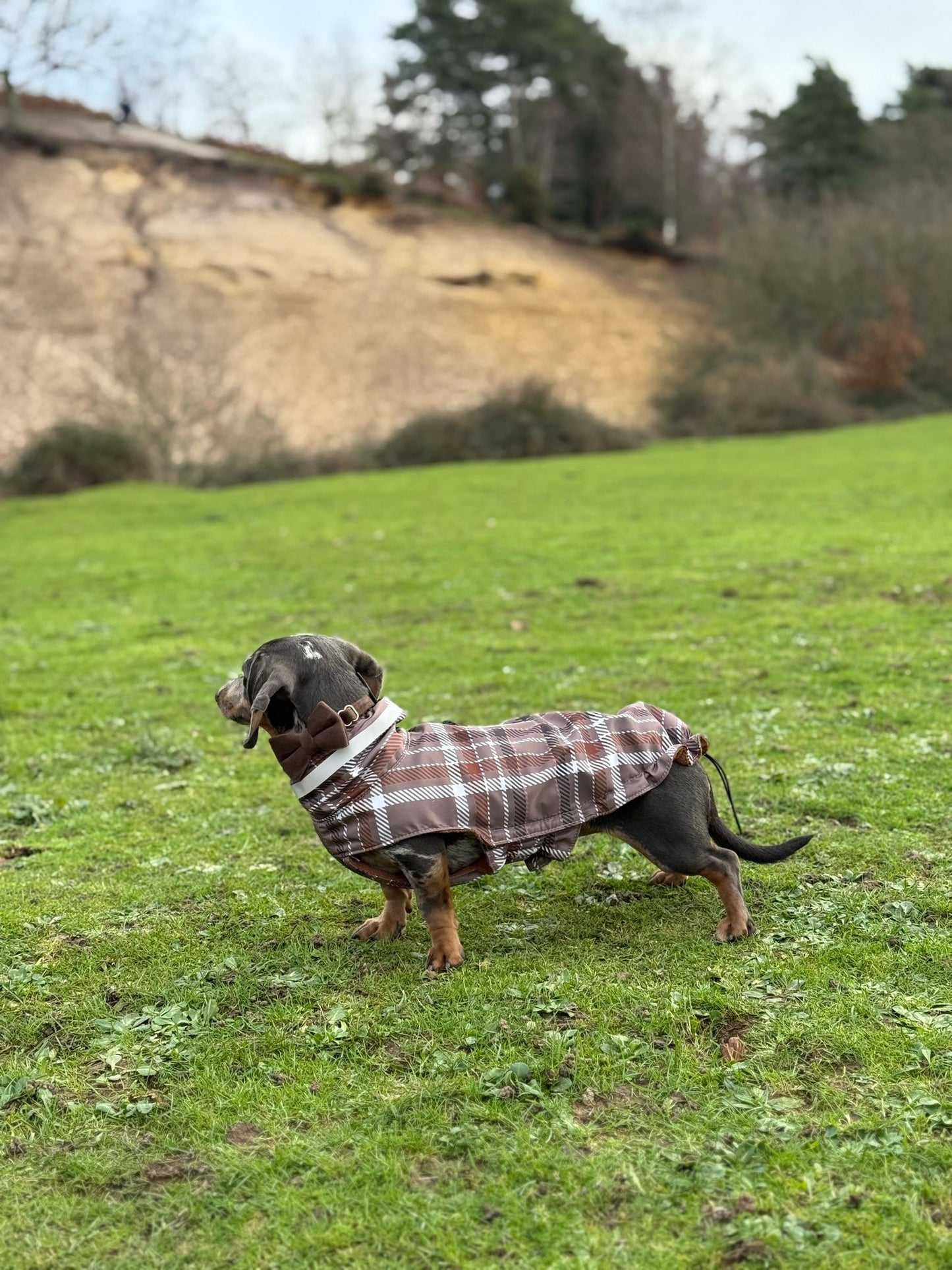 Brown Fleece Lined Check Raincoat