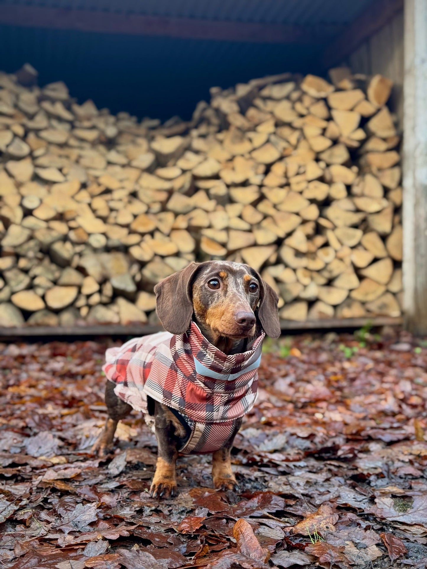 Orange Fleece Lined Check Raincoat