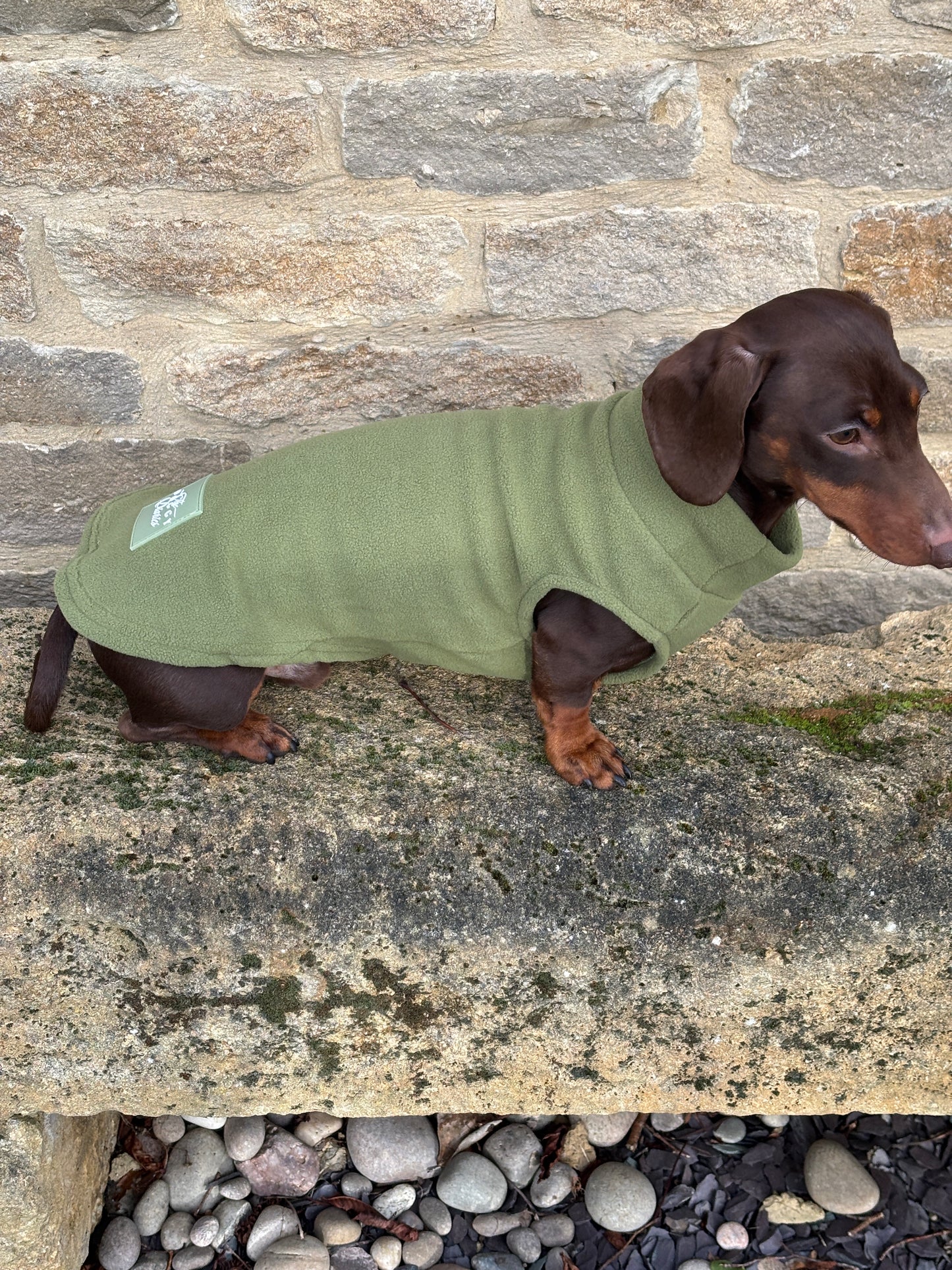 Olive Dachshund Fleece