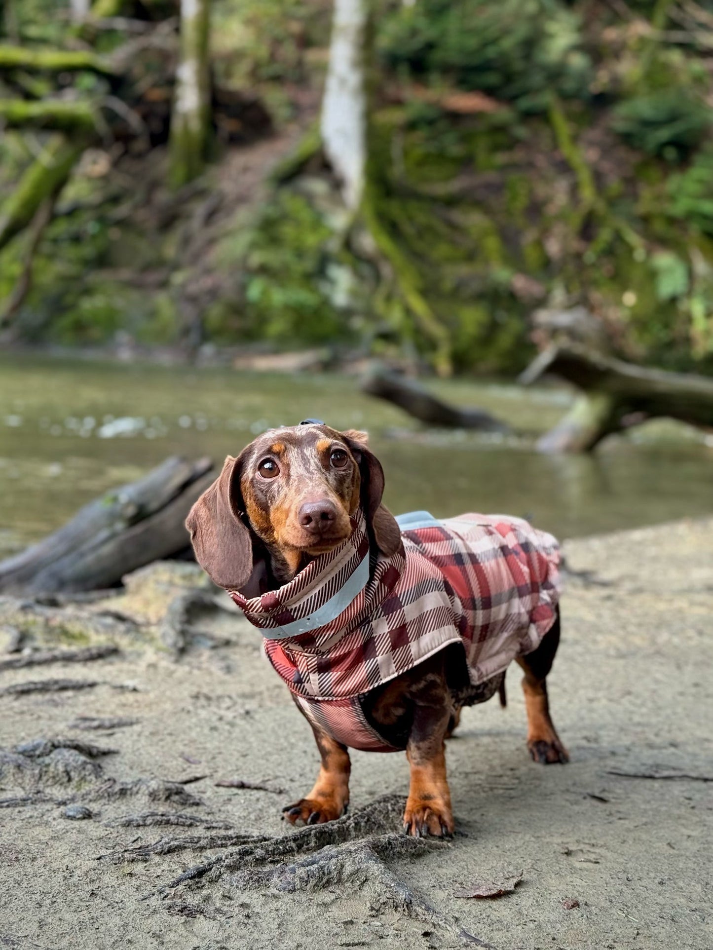 Orange Fleece Lined Check Raincoat