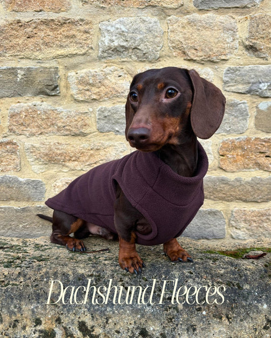 Chocolate Dachshund Fleece