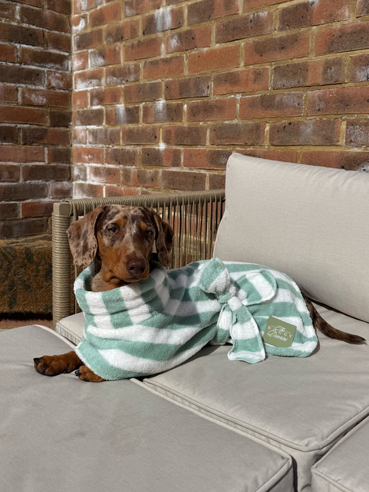 The Beach Club Drying Dog Robe - Sage Stripe