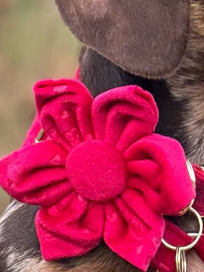 Red Velvet Hearts Flower