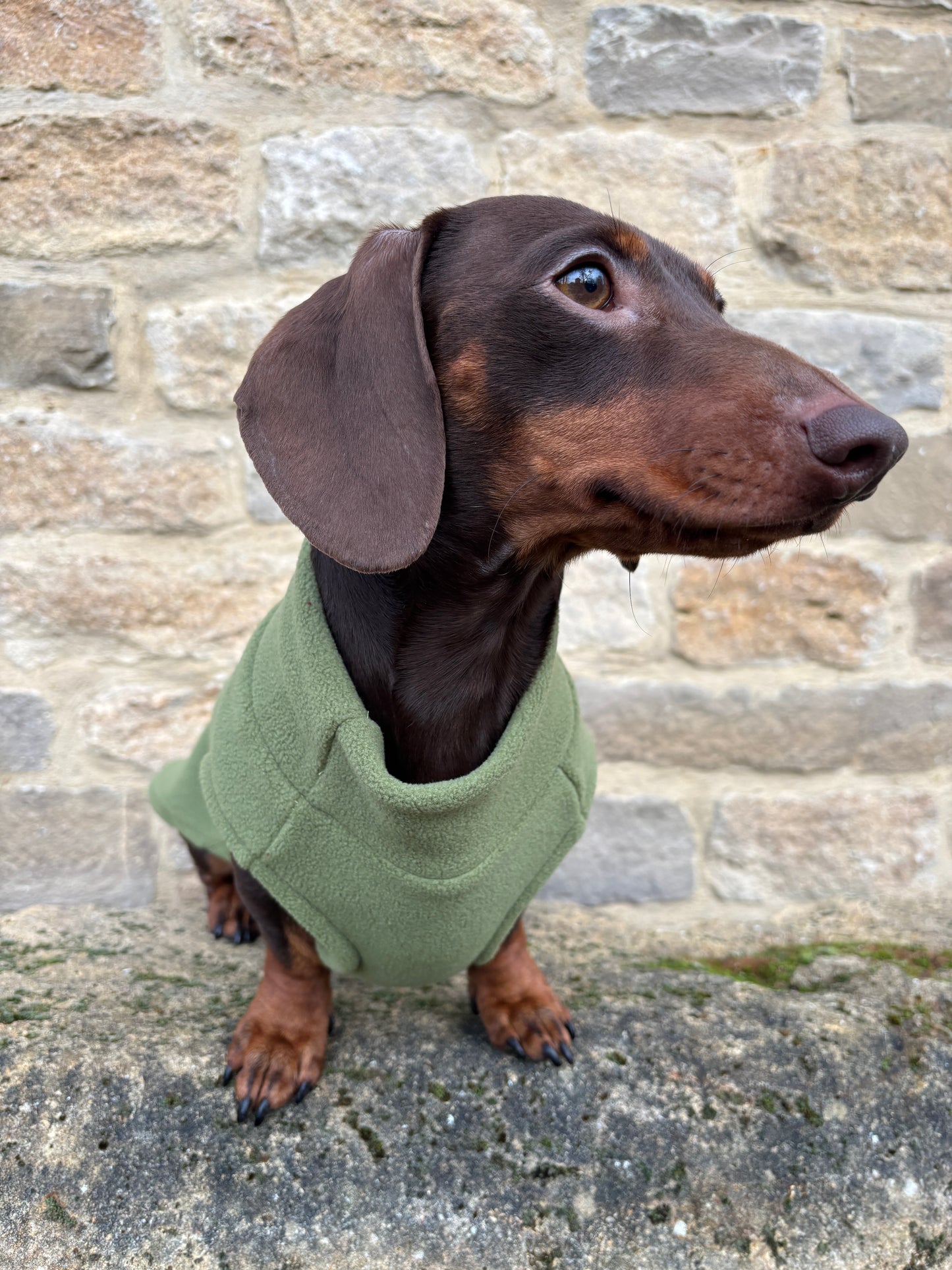 Olive Dachshund Fleece