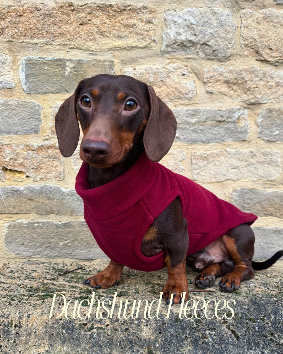 Merlot Dachshund Fleece