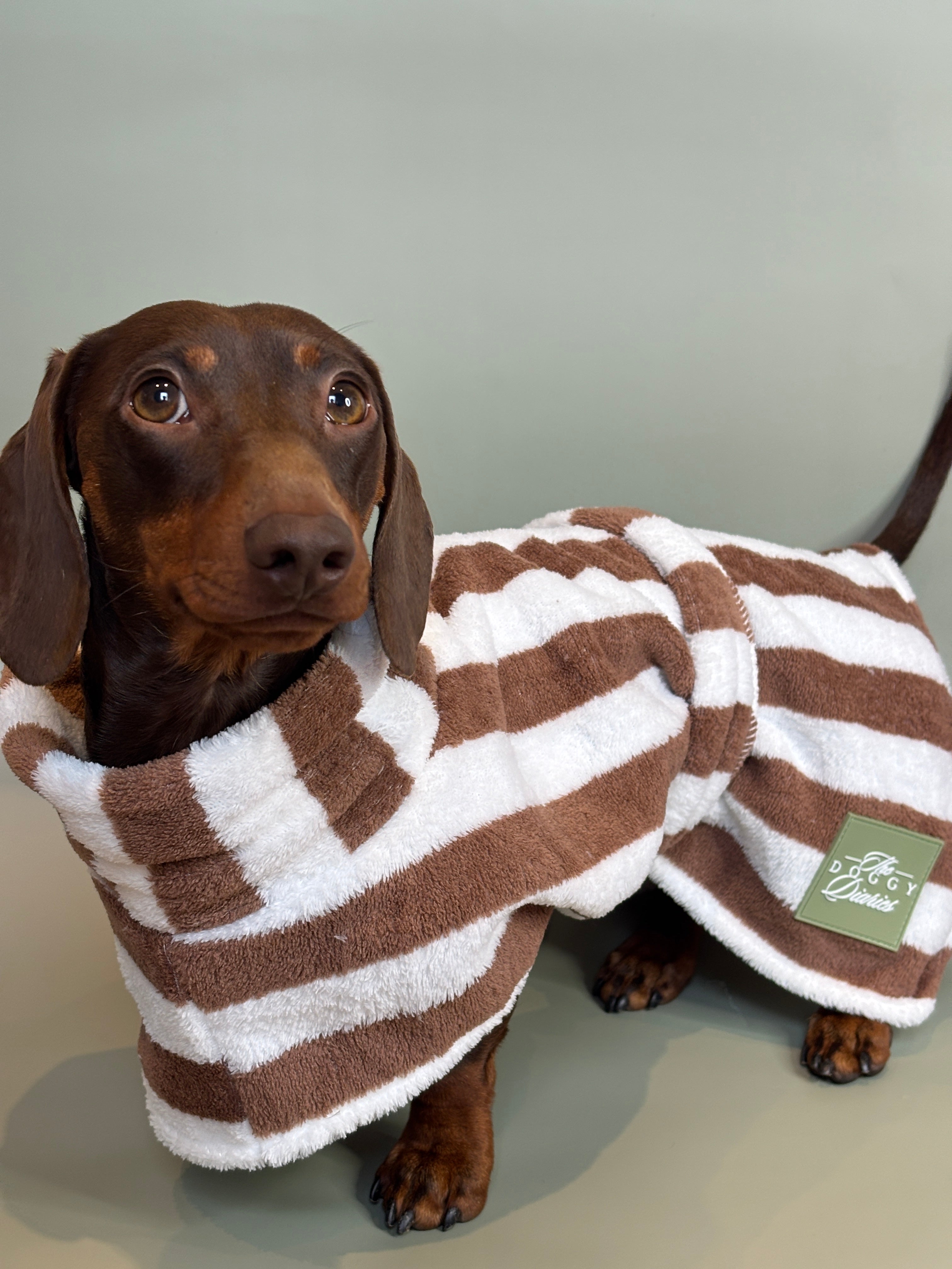 The Beach Club Drying Dog Robe - Chocolate Stripe – The Doggy Diaries