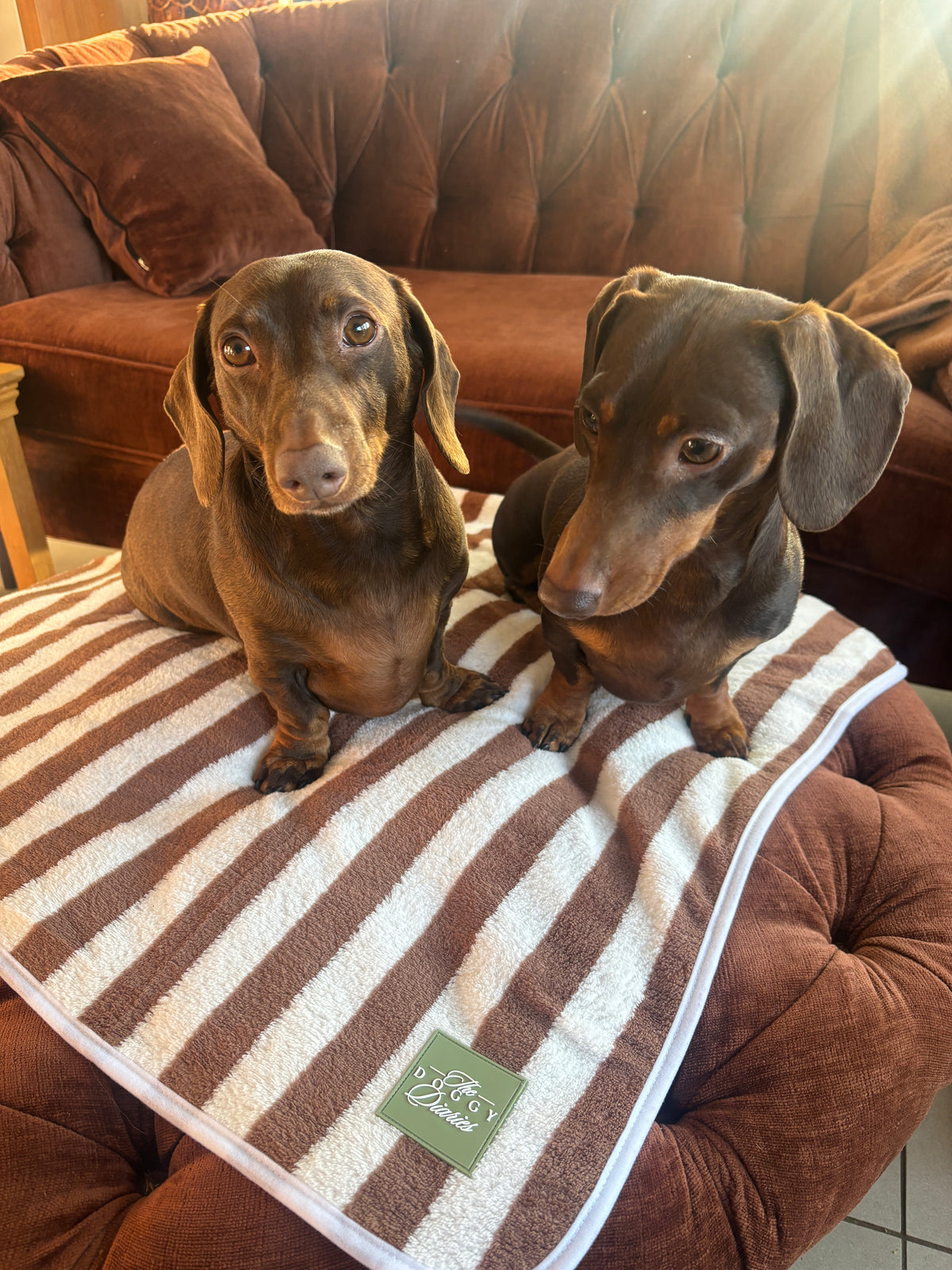 Microfibre Dog Towel