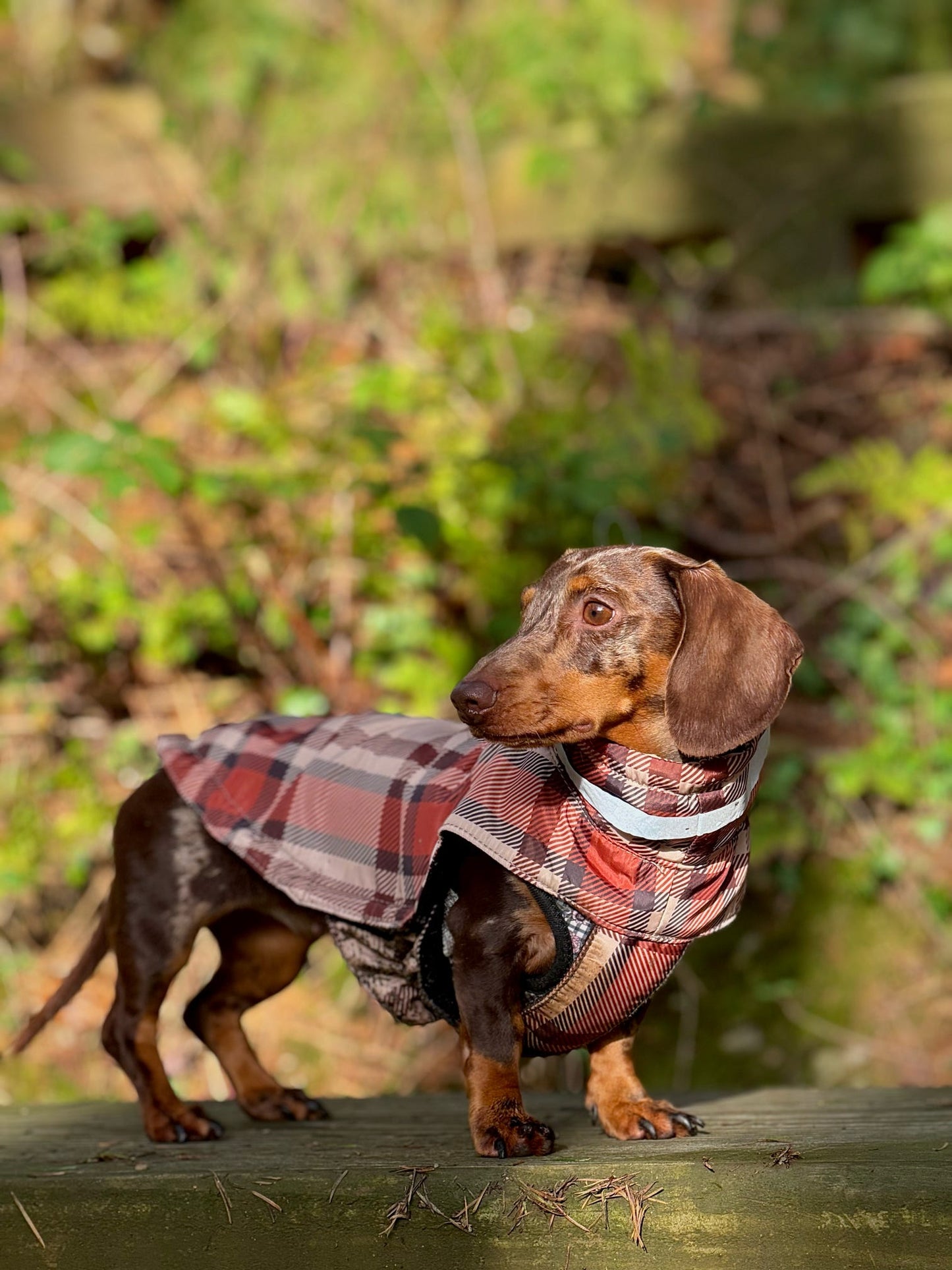 Orange Fleece Lined Check Raincoat