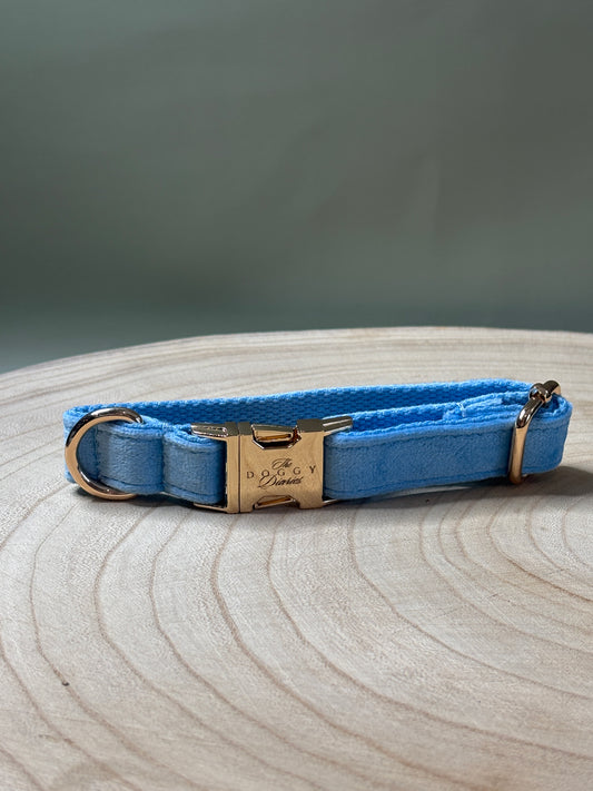 Baby Blue Velvet Collar