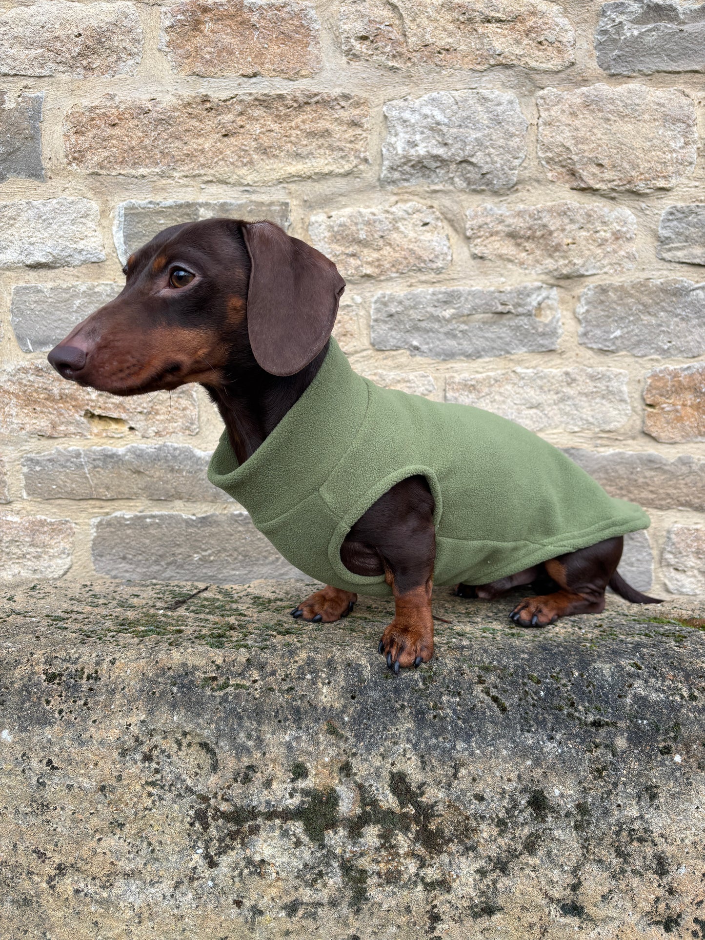 Olive Dachshund Fleece
