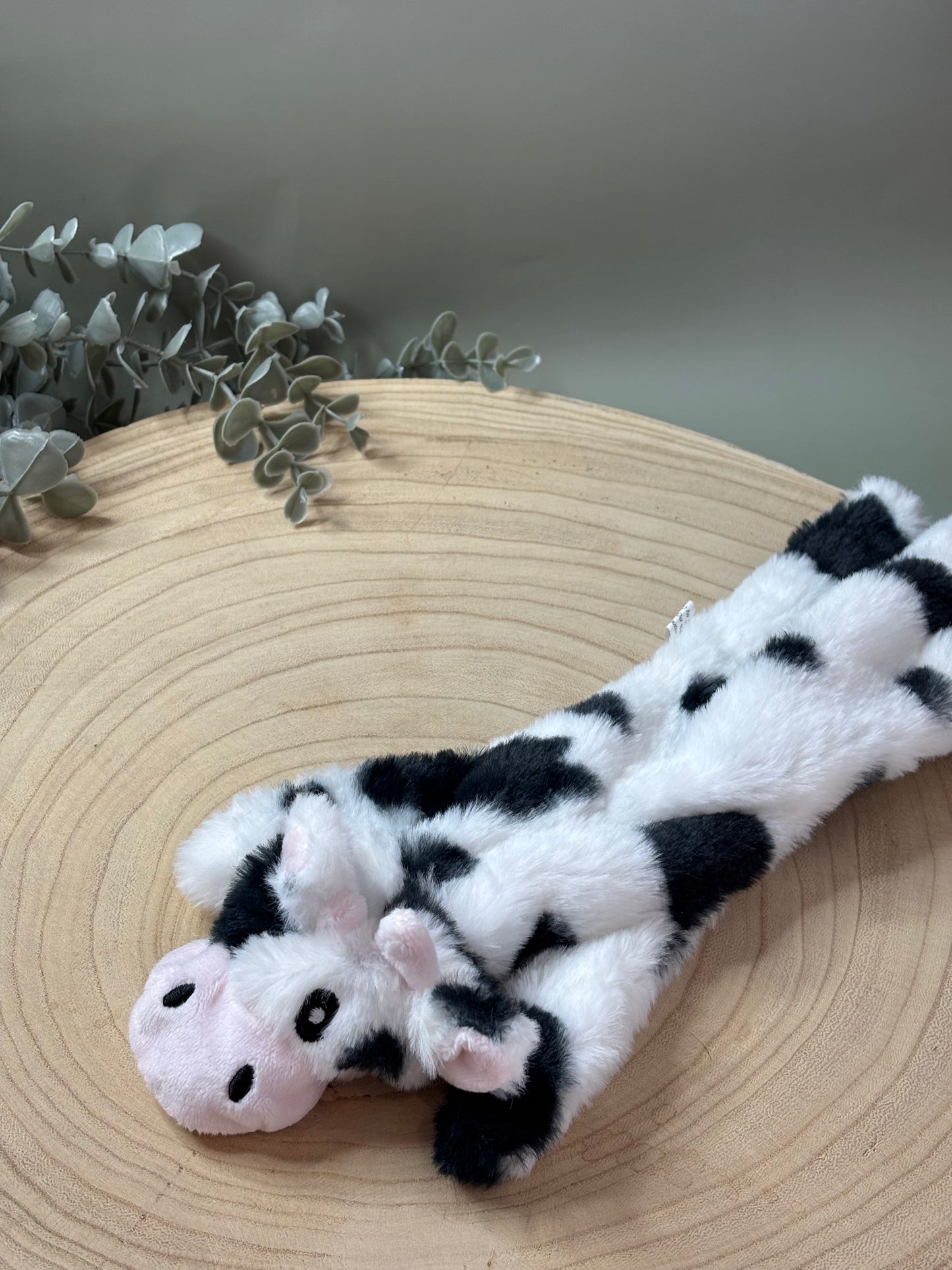 Flat Toys With Squeaker