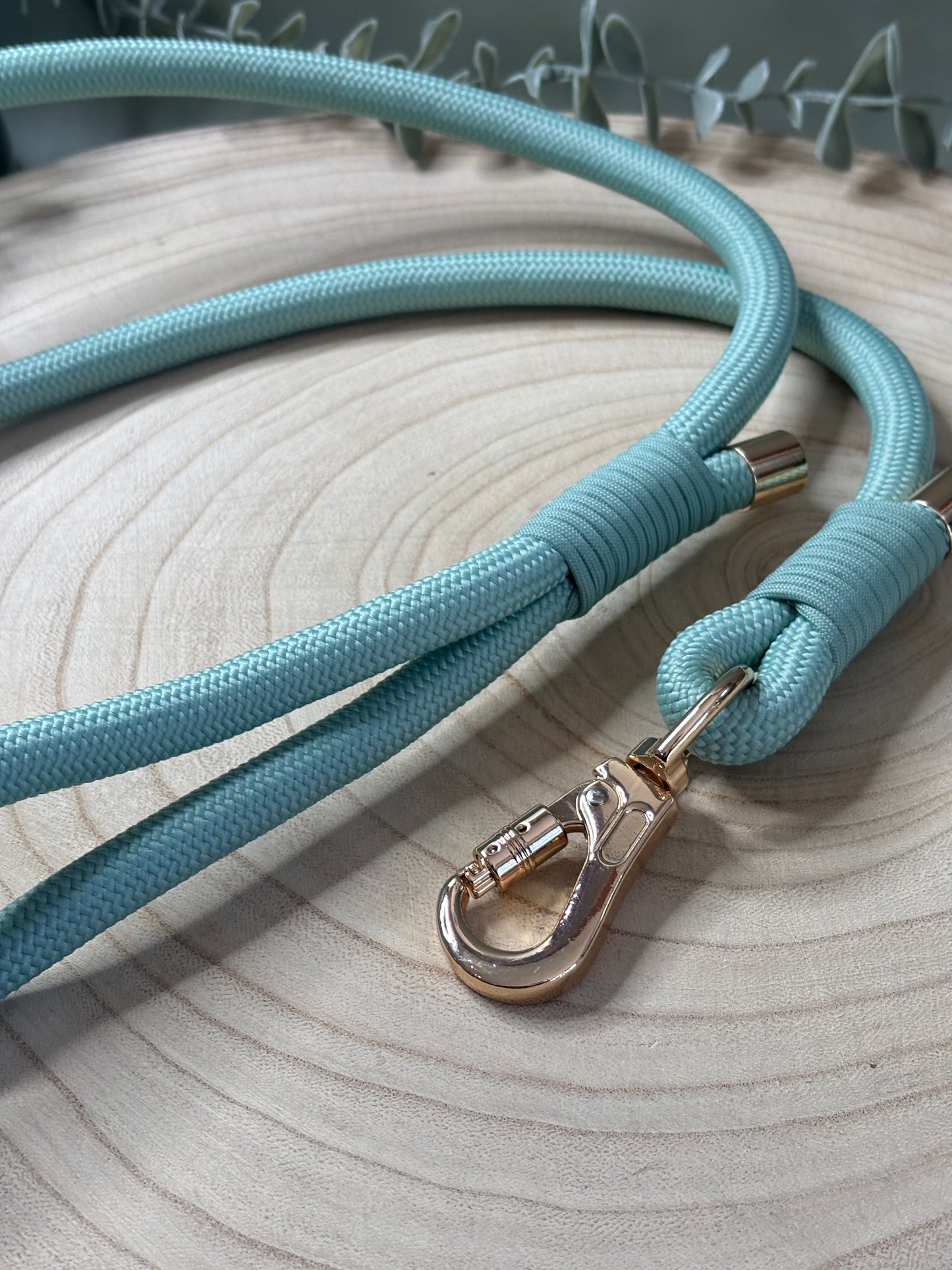Sage Anti-theft Rope Lead