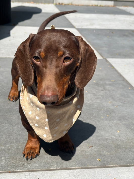 Beige Spot Bandana