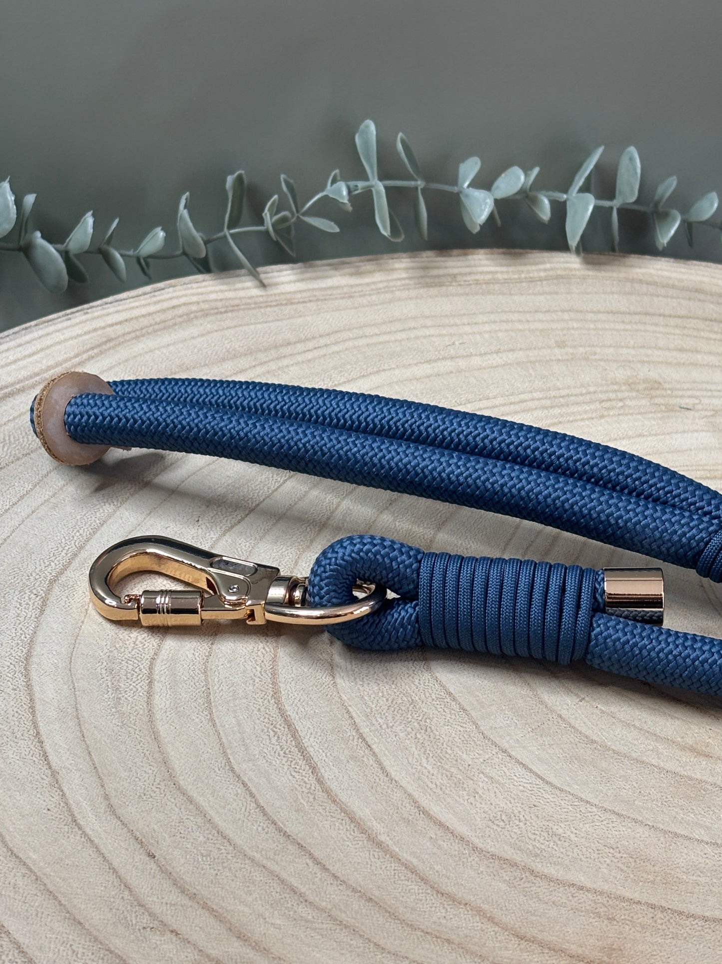 Blue Anti-theft Rope Lead