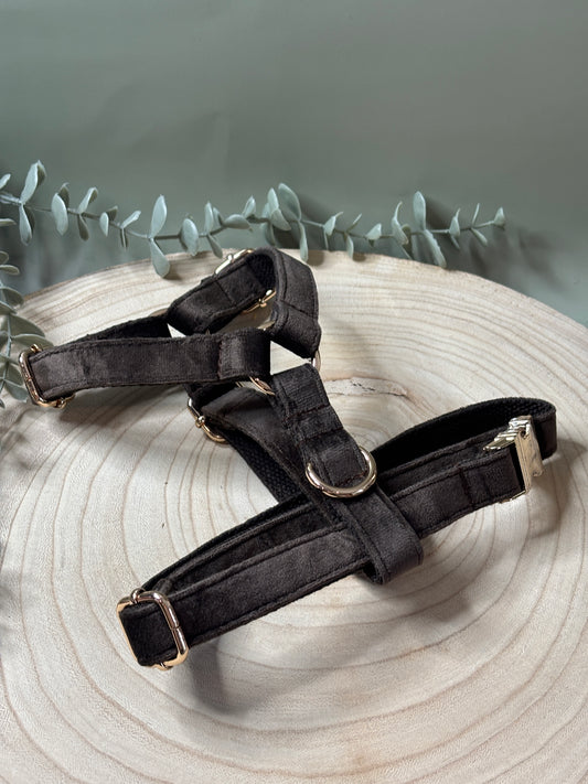 Chocolate Velvet Fully Adjustable Harness