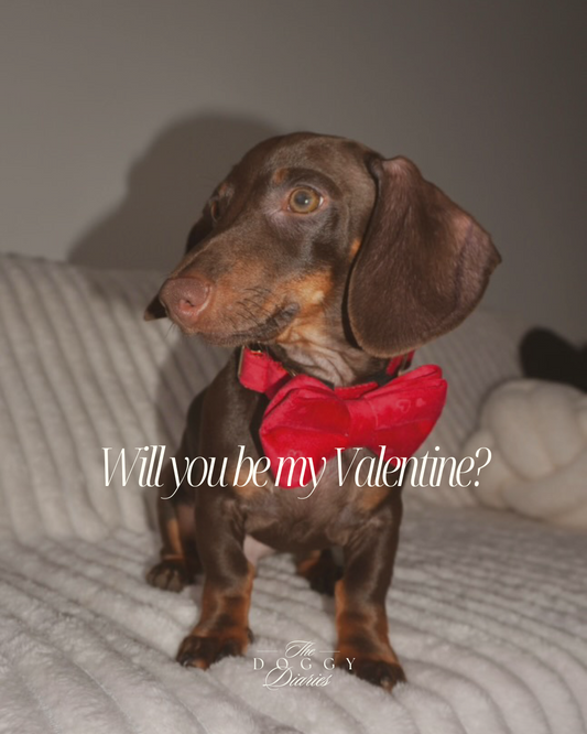 Red Velvet Hearts Bow - Collar Sold Separately