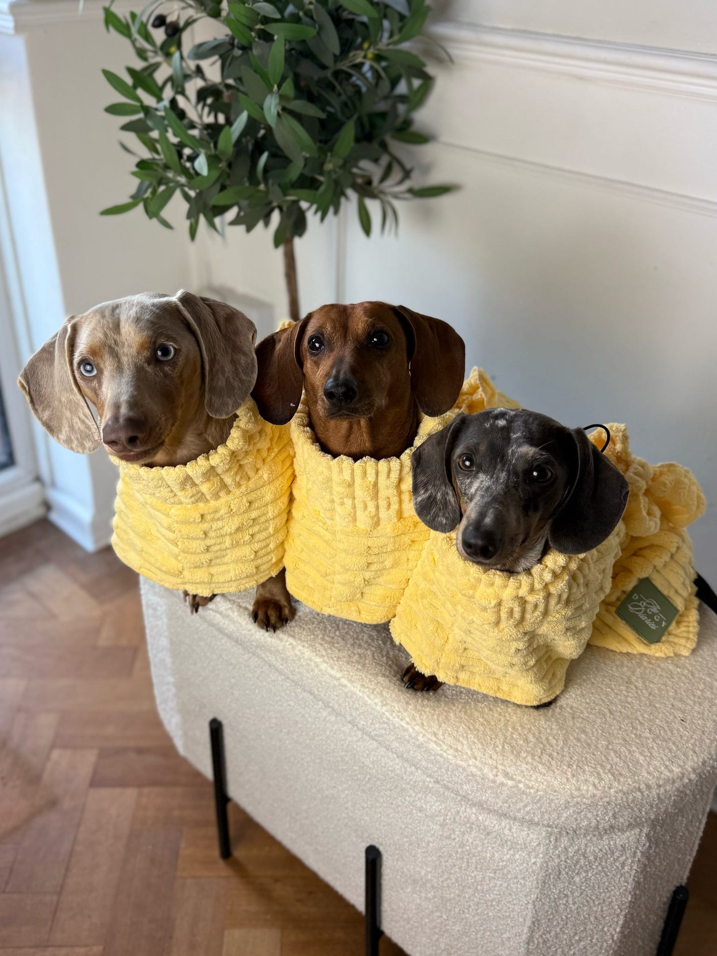 The Beach Club Drying Dog Robe - Yellow