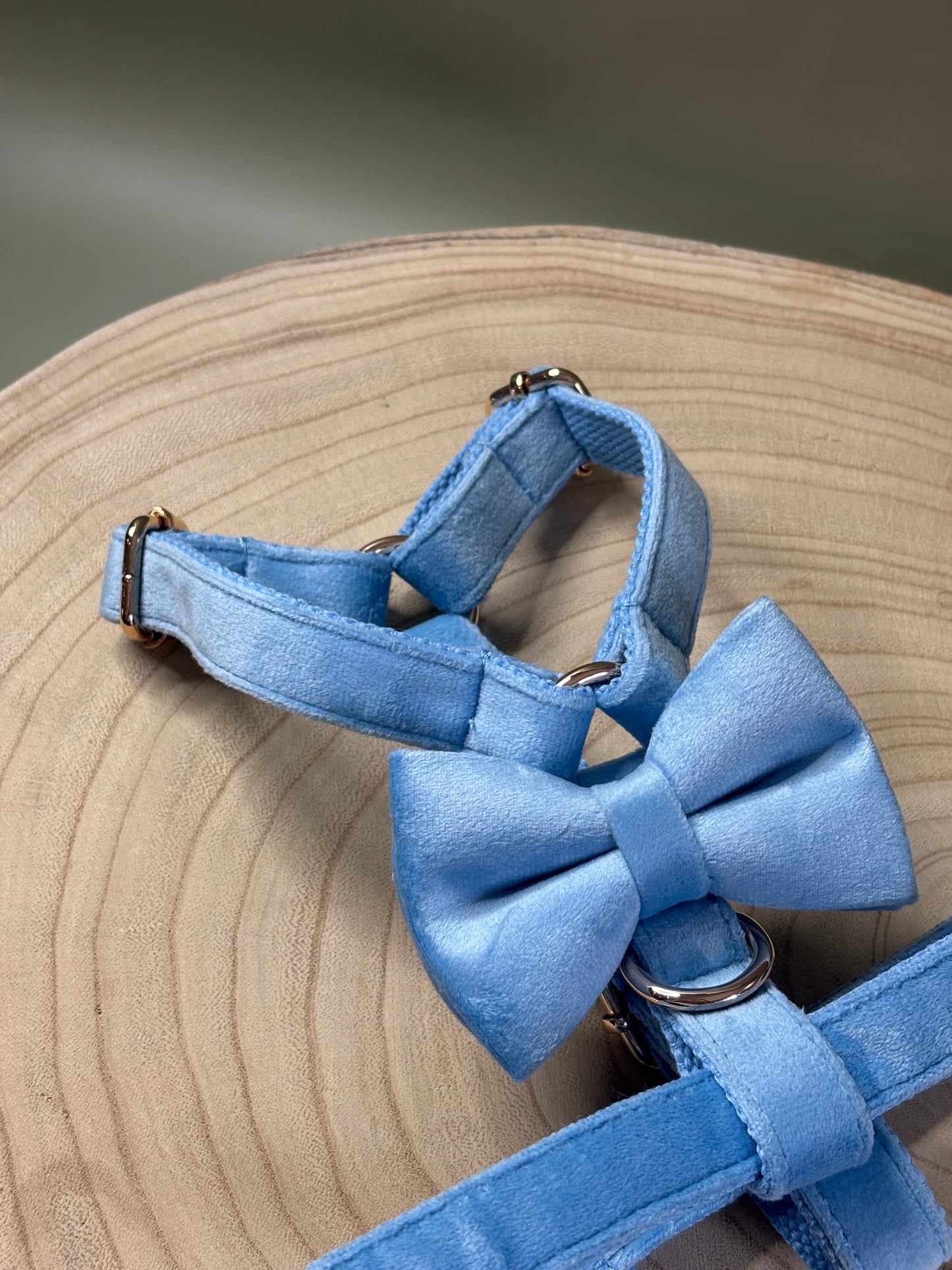 Baby Blue Velvet Fully Adjustable Harness