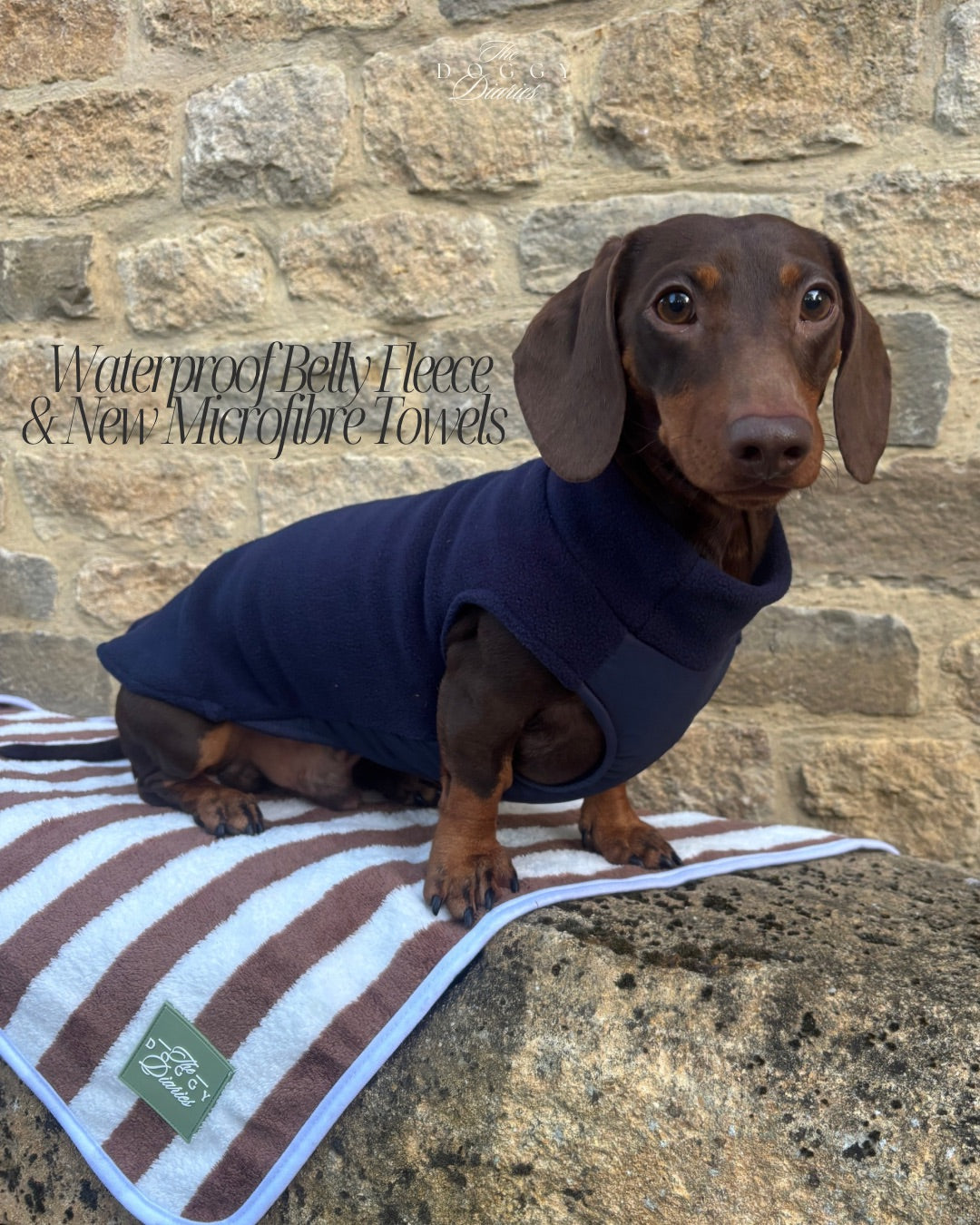 Navy Waterproof Belly Dachshund Fleece
