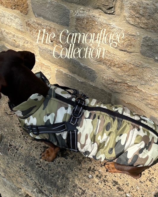 2026 Camouflage Harness Coat