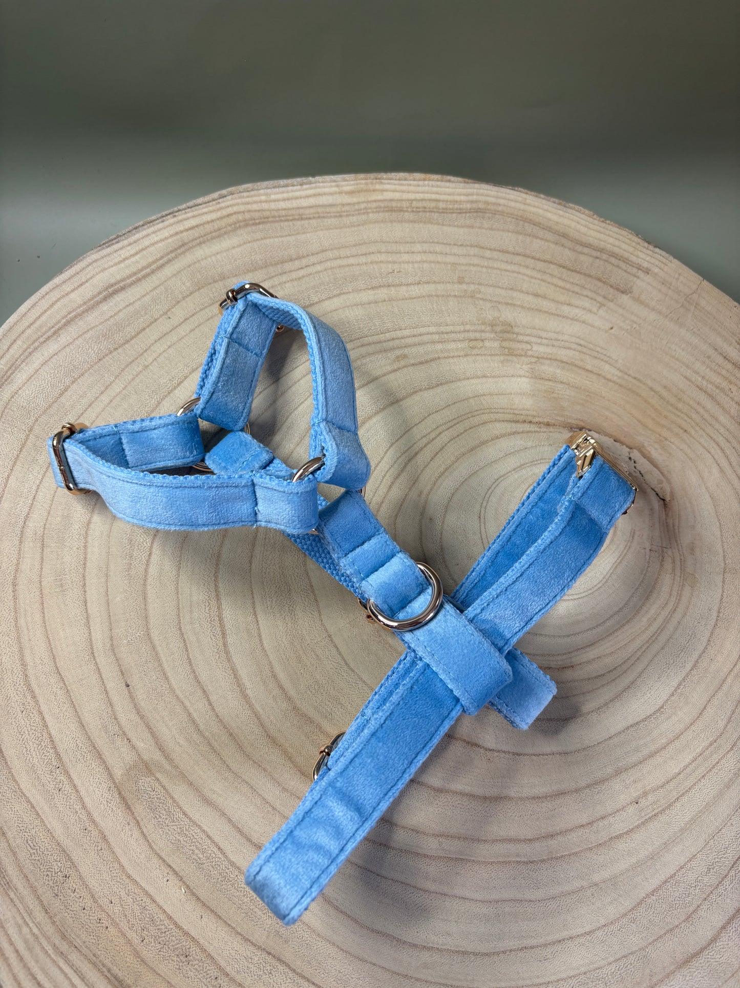 Baby Blue Velvet Fully Adjustable Harness
