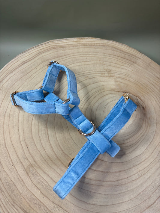 Baby Blue Velvet Fully Adjustable Harness