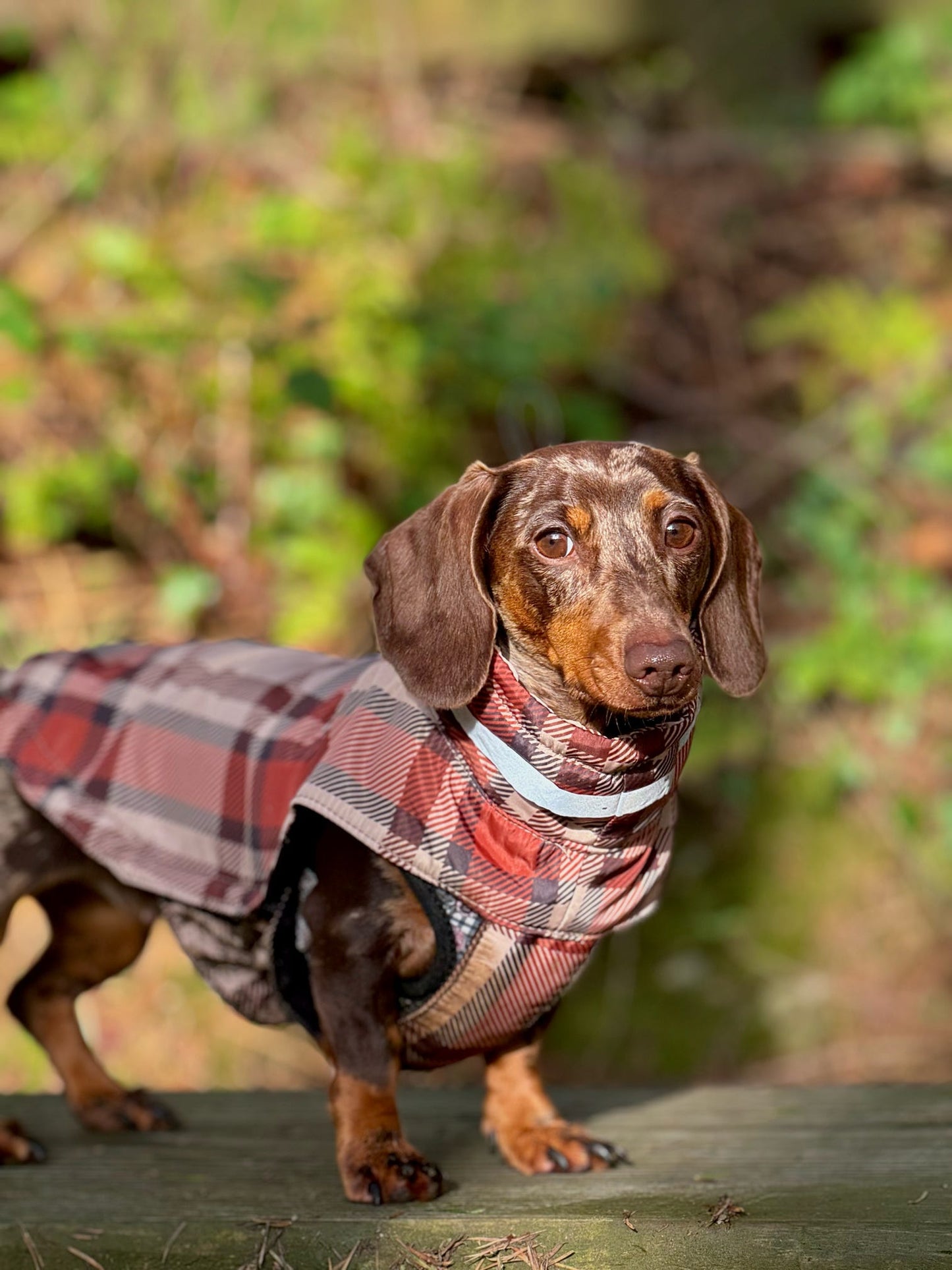 Orange Fleece Lined Check Raincoat