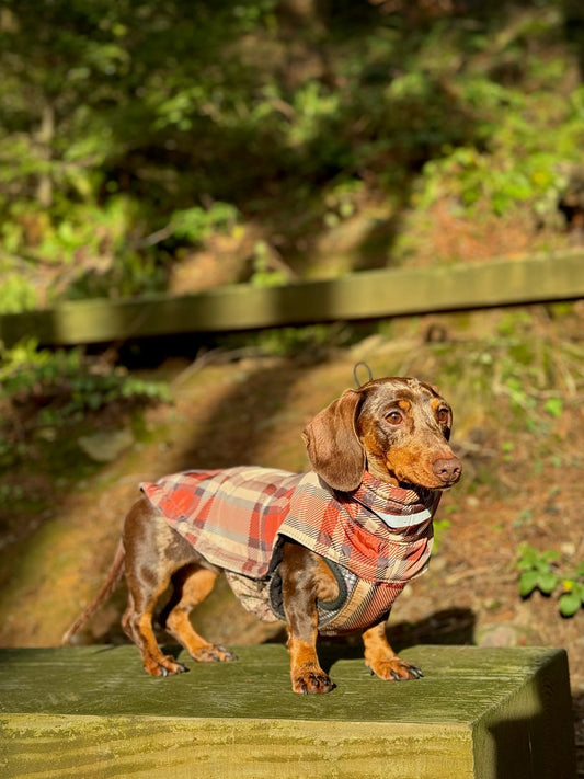 Orange Fleece Lined Check Raincoat