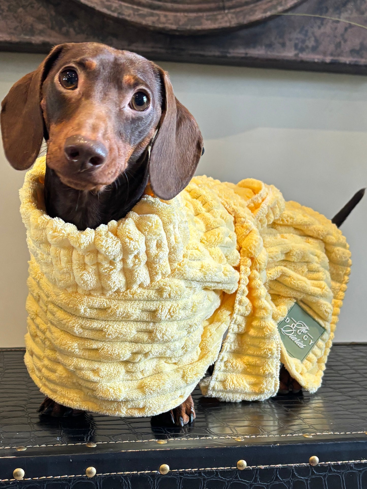 The Beach Club Drying Dog Robe - Yellow