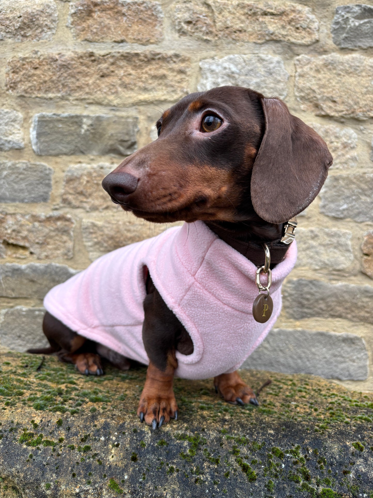 Baby Pink Dachshund Fleece