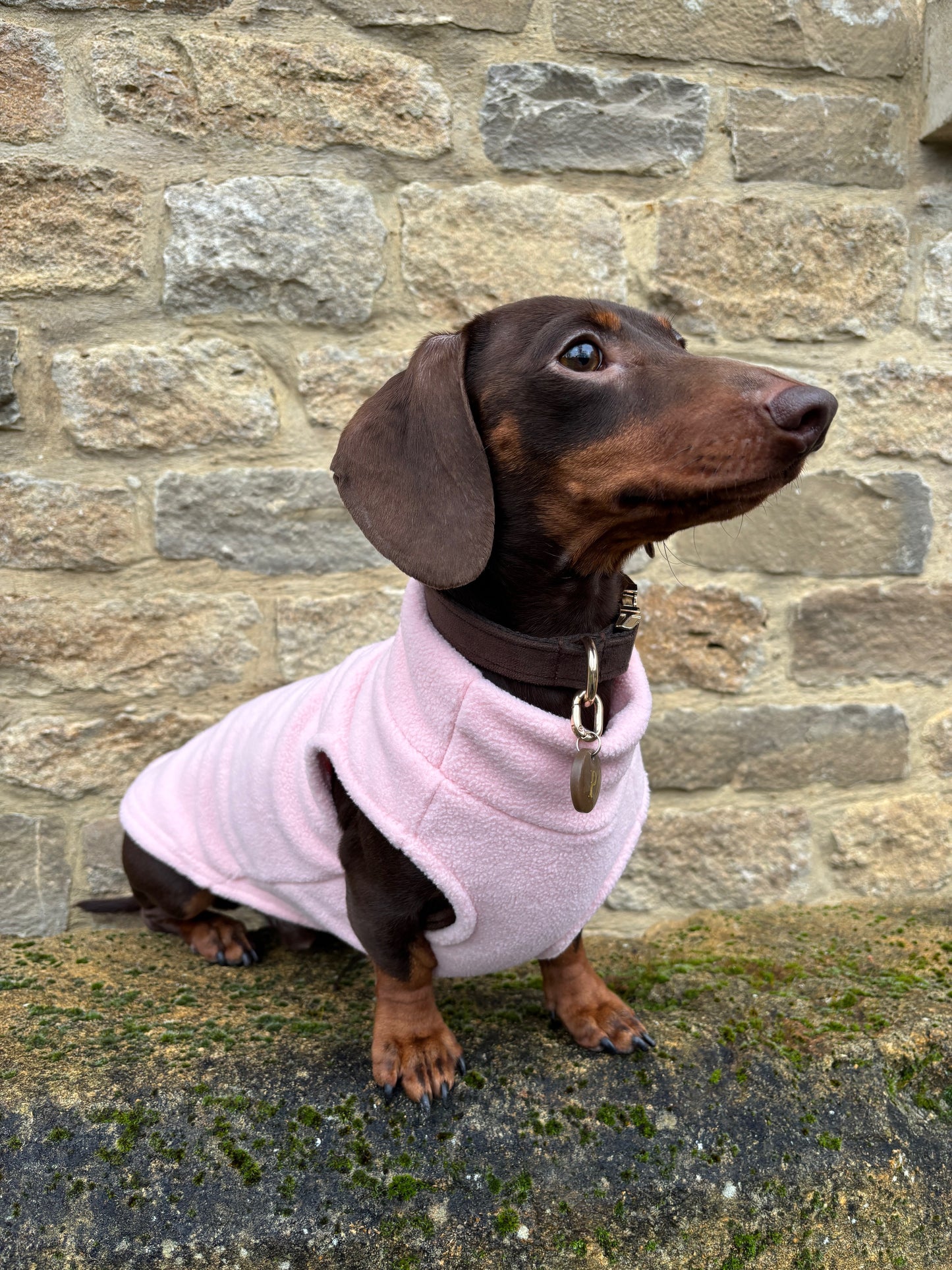 Baby Pink Dachshund Fleece