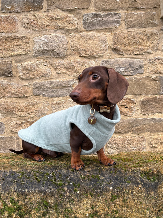 Duck Egg Dachshund Fleece