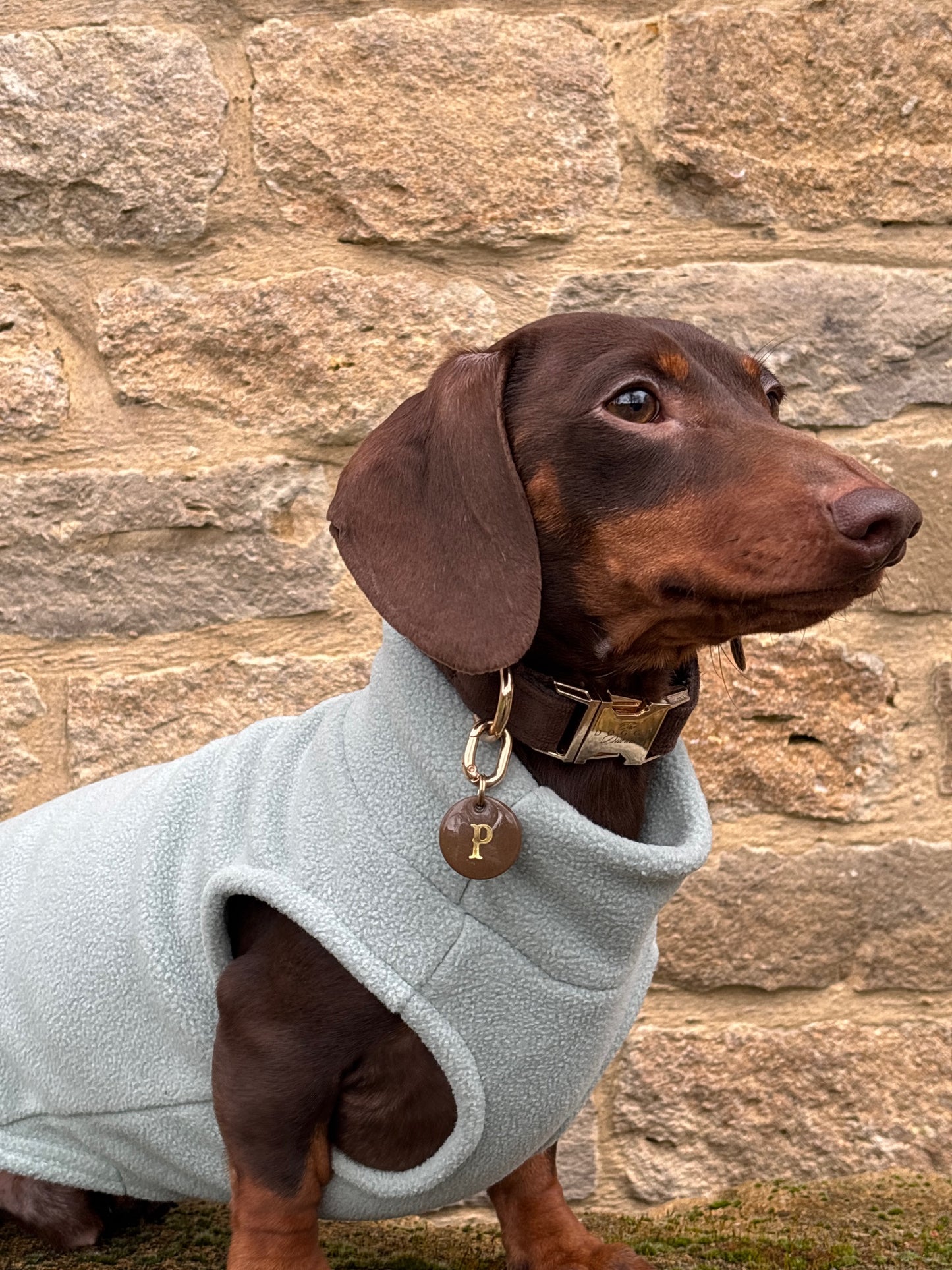 Duck Egg Dachshund Fleece