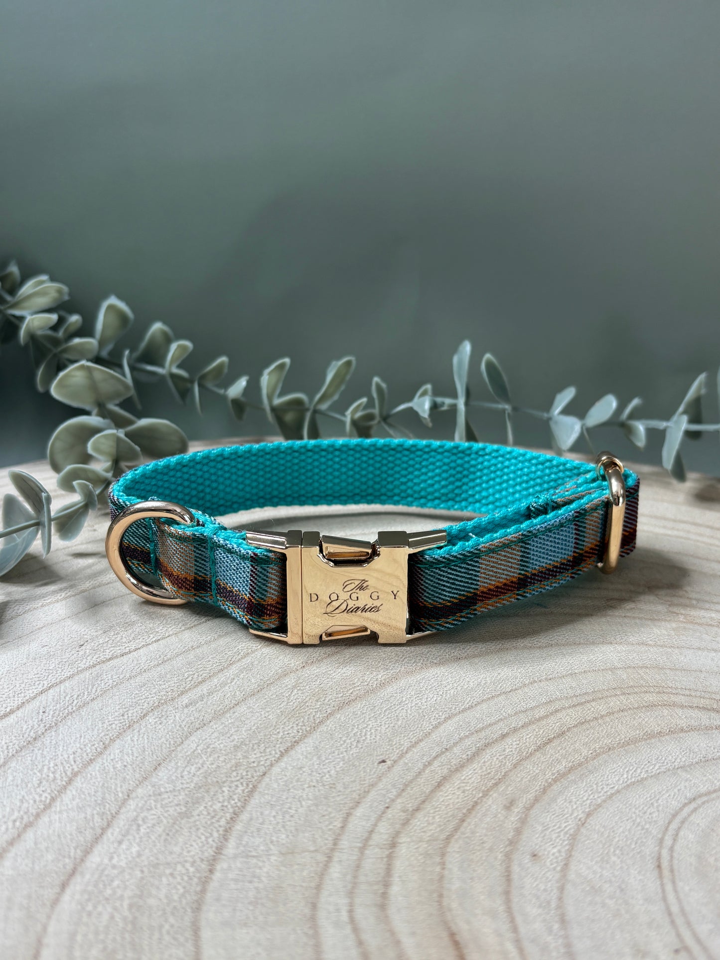Bright Plaid Collar