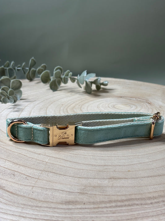 Timeless Sage Velvet Collar
