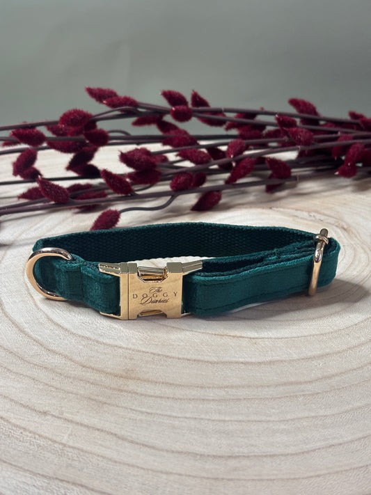 Forest Green Velvet Collar