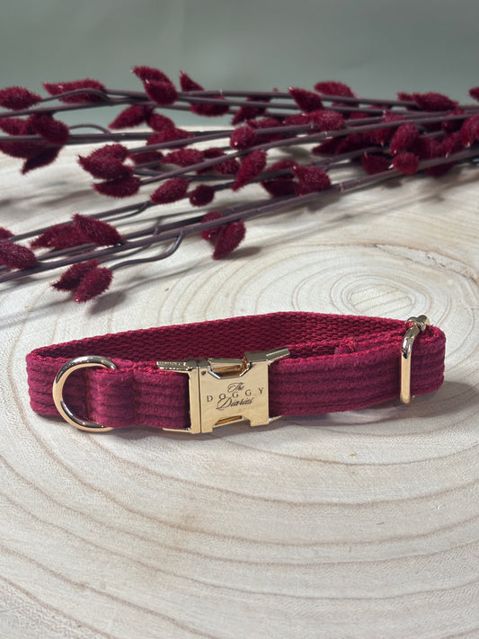 Merlot Corduroy Collar