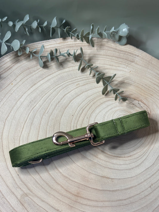 Olive Velvet Lead